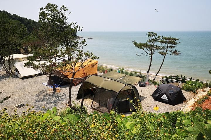 영흥도어울림캠핑장 대표 사진