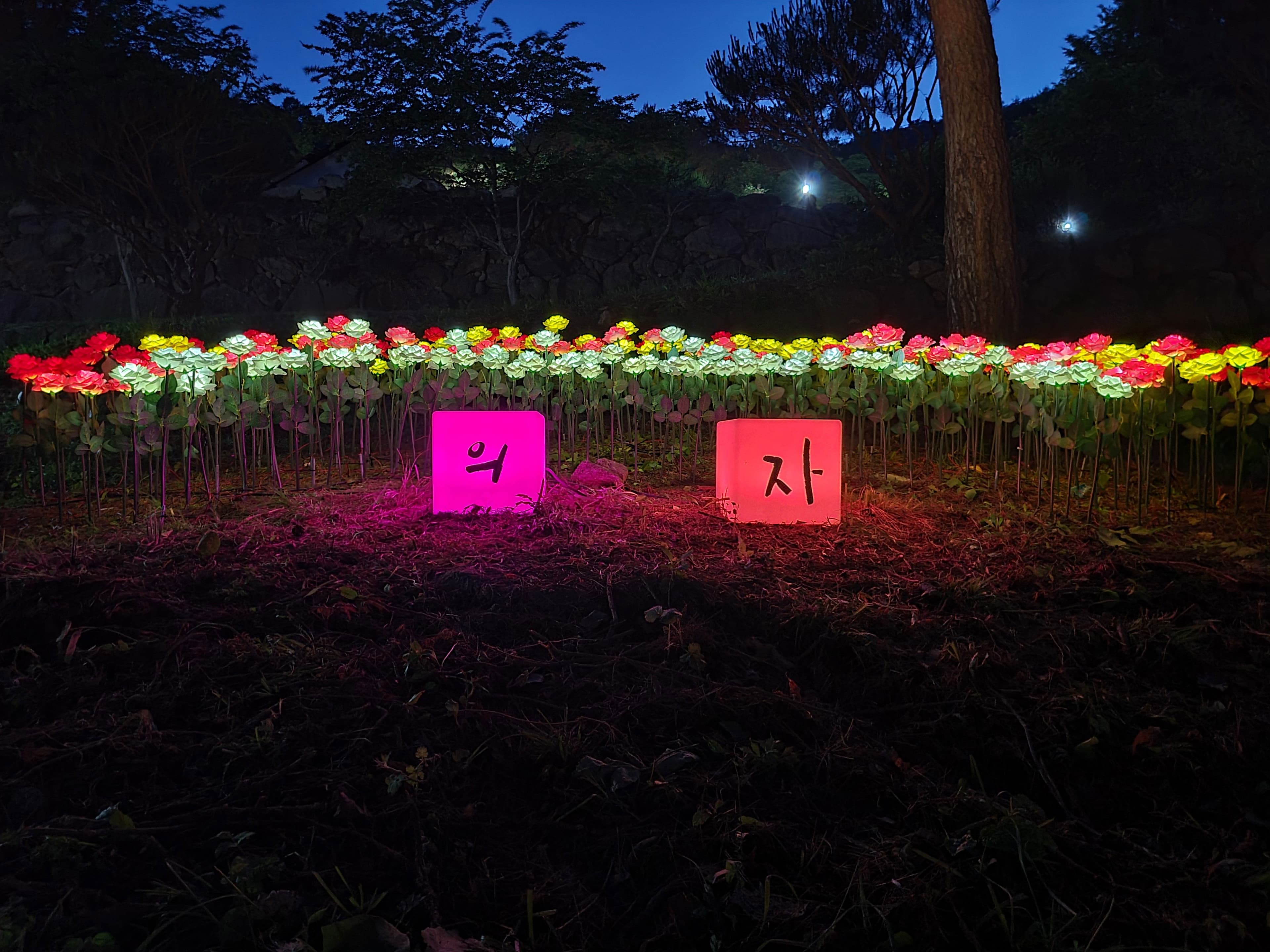 천지 글램핑 사진 6
