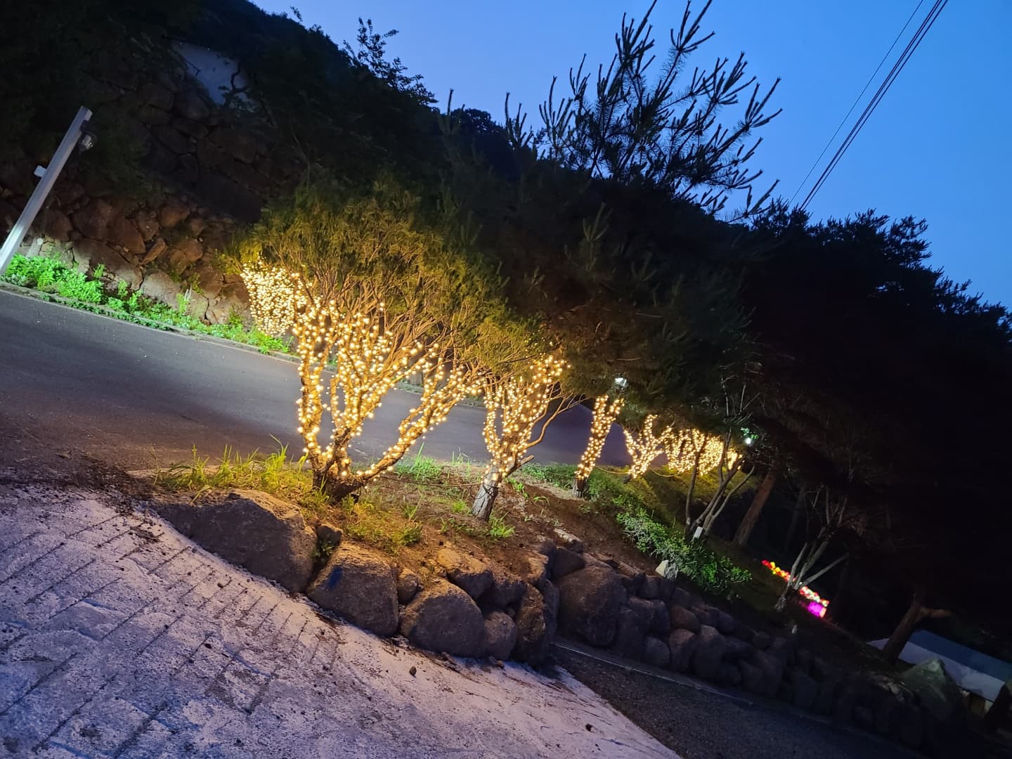 천지 글램핑 사진 31