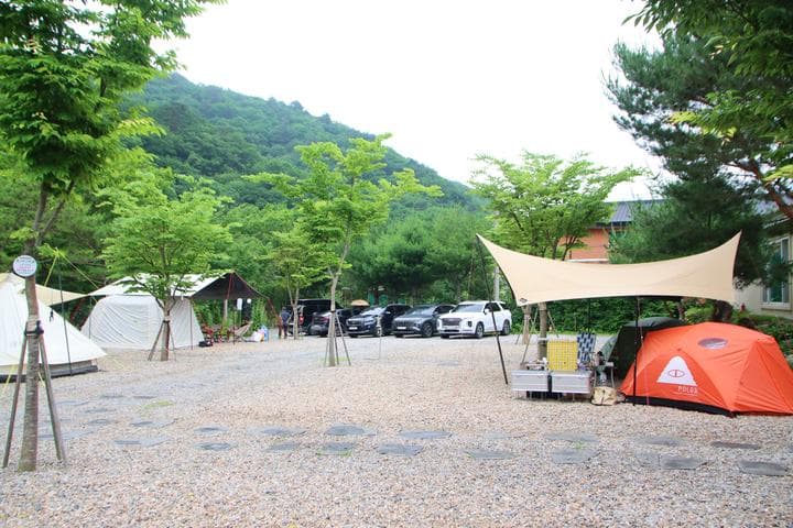 캠프 고토일 대표 사진
