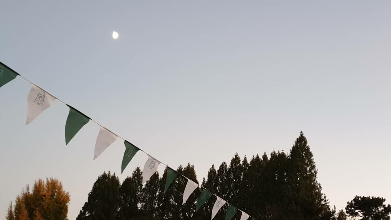 마을야영장, 침산추월 사진 9