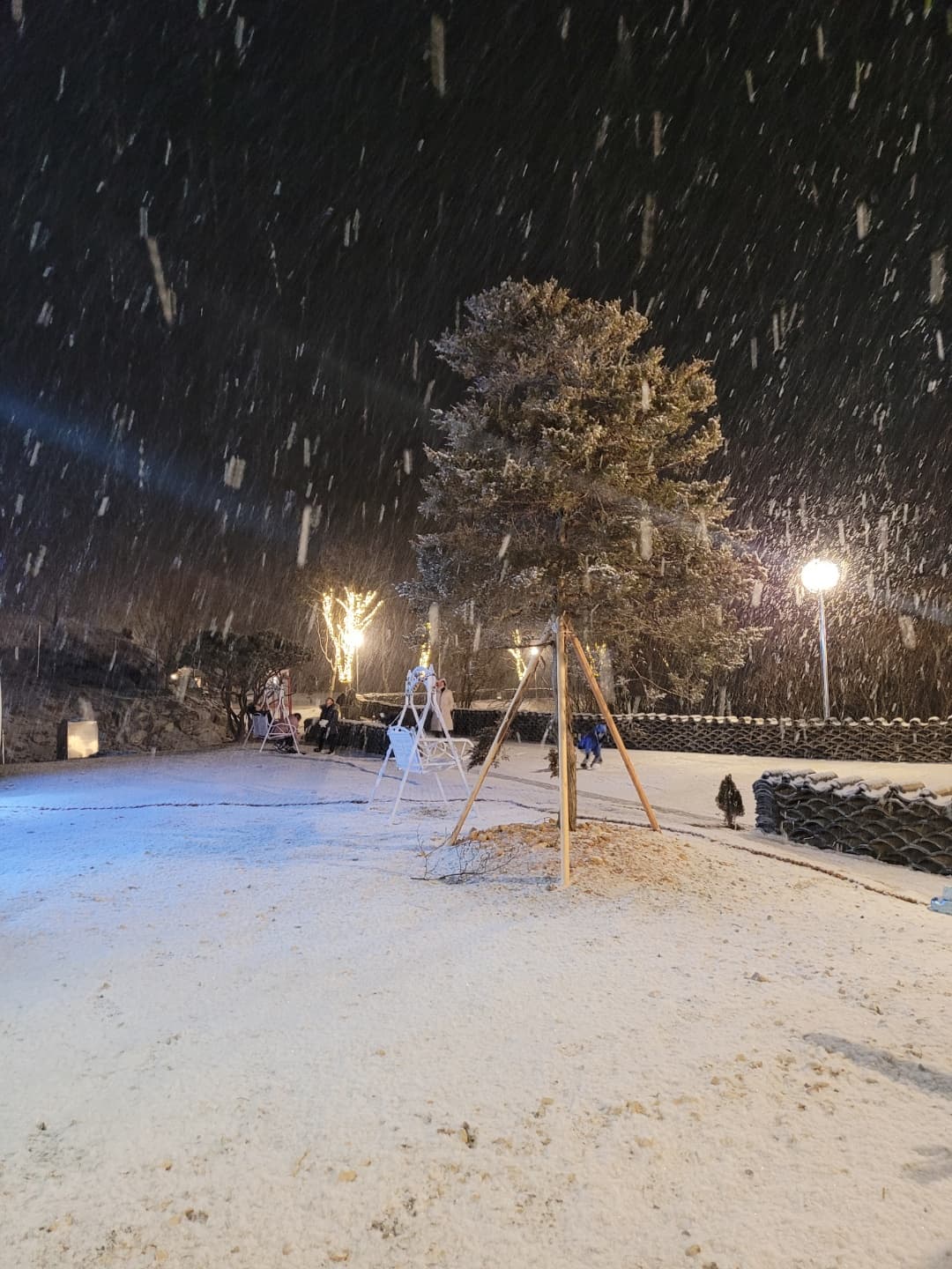 금산만악리수목원 오토캠핑장 사진 26