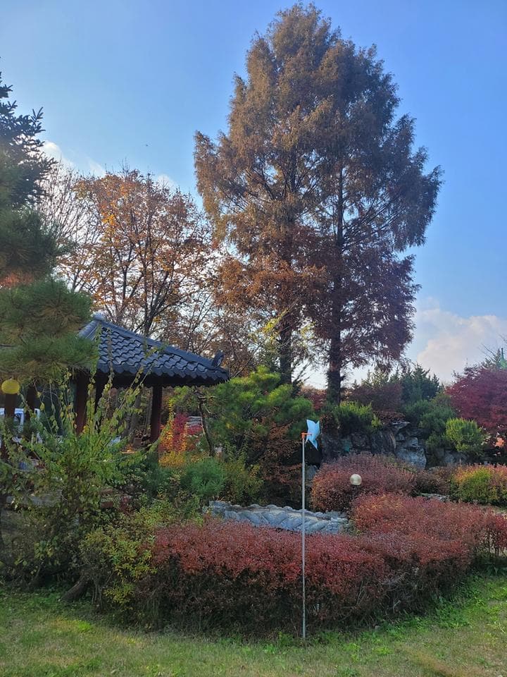 금산만악리수목원 오토캠핑장 대표 사진