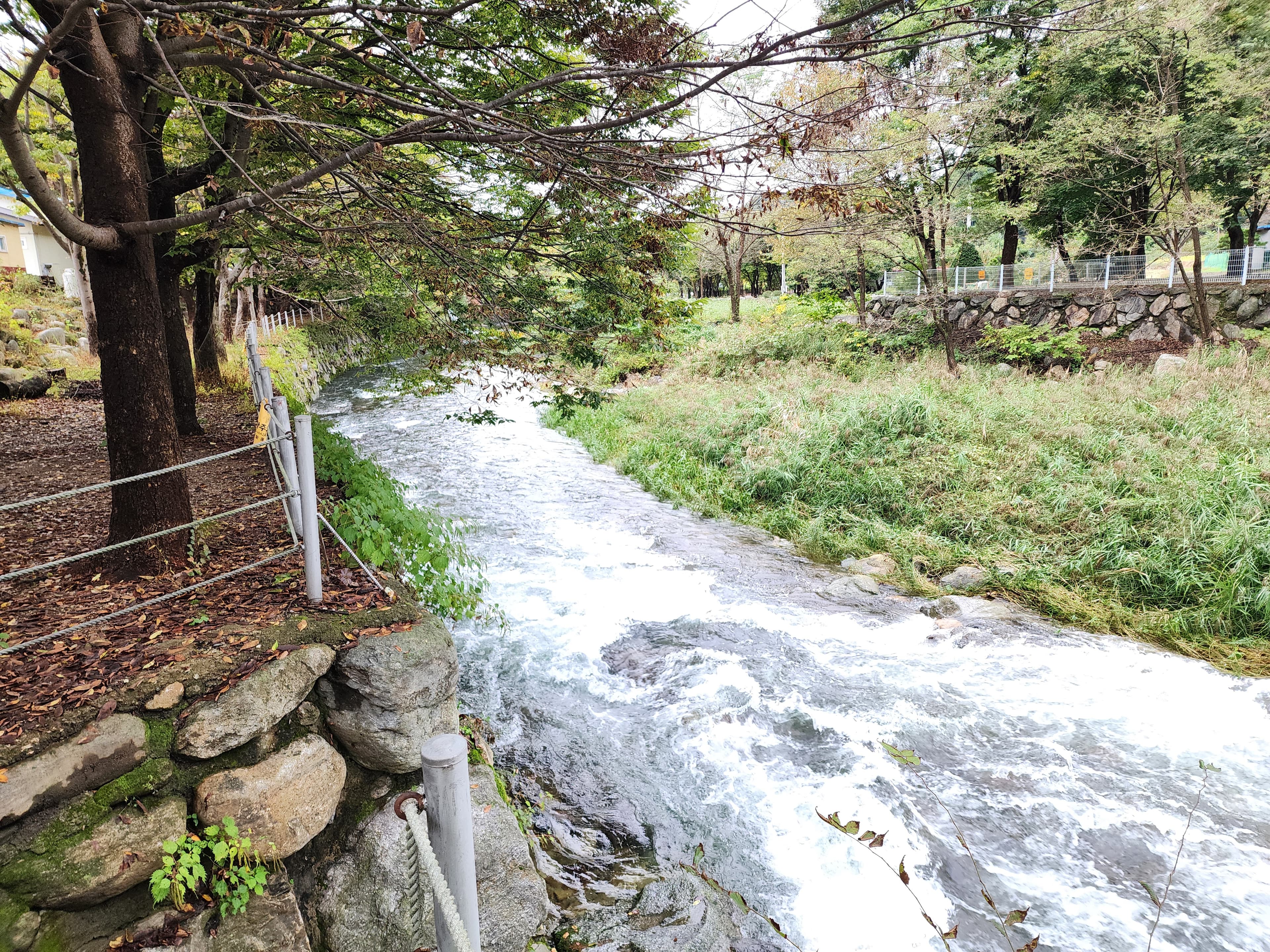 유명산밸리 캠핑장 사진 16