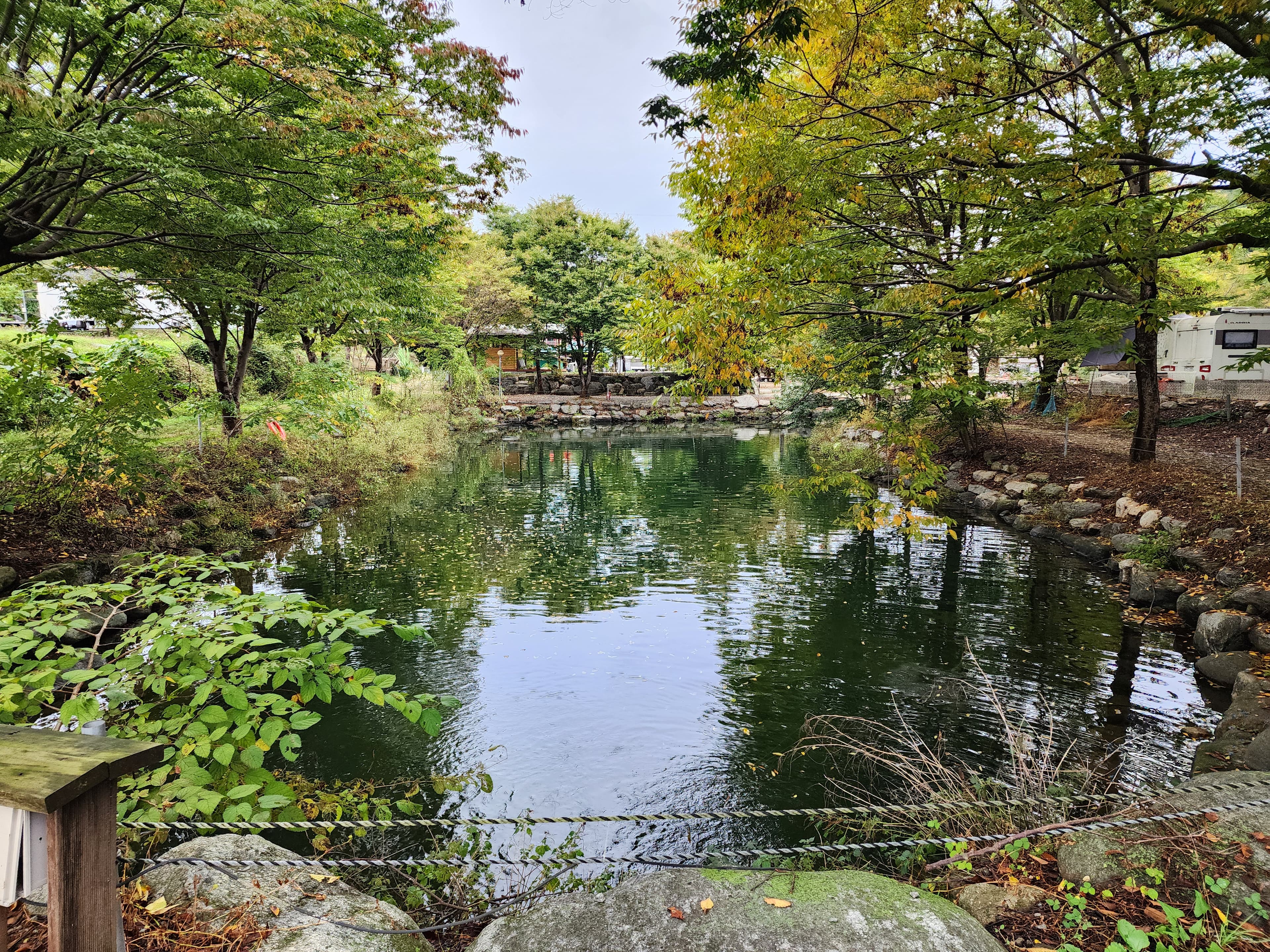 유명산밸리 캠핑장 사진 22