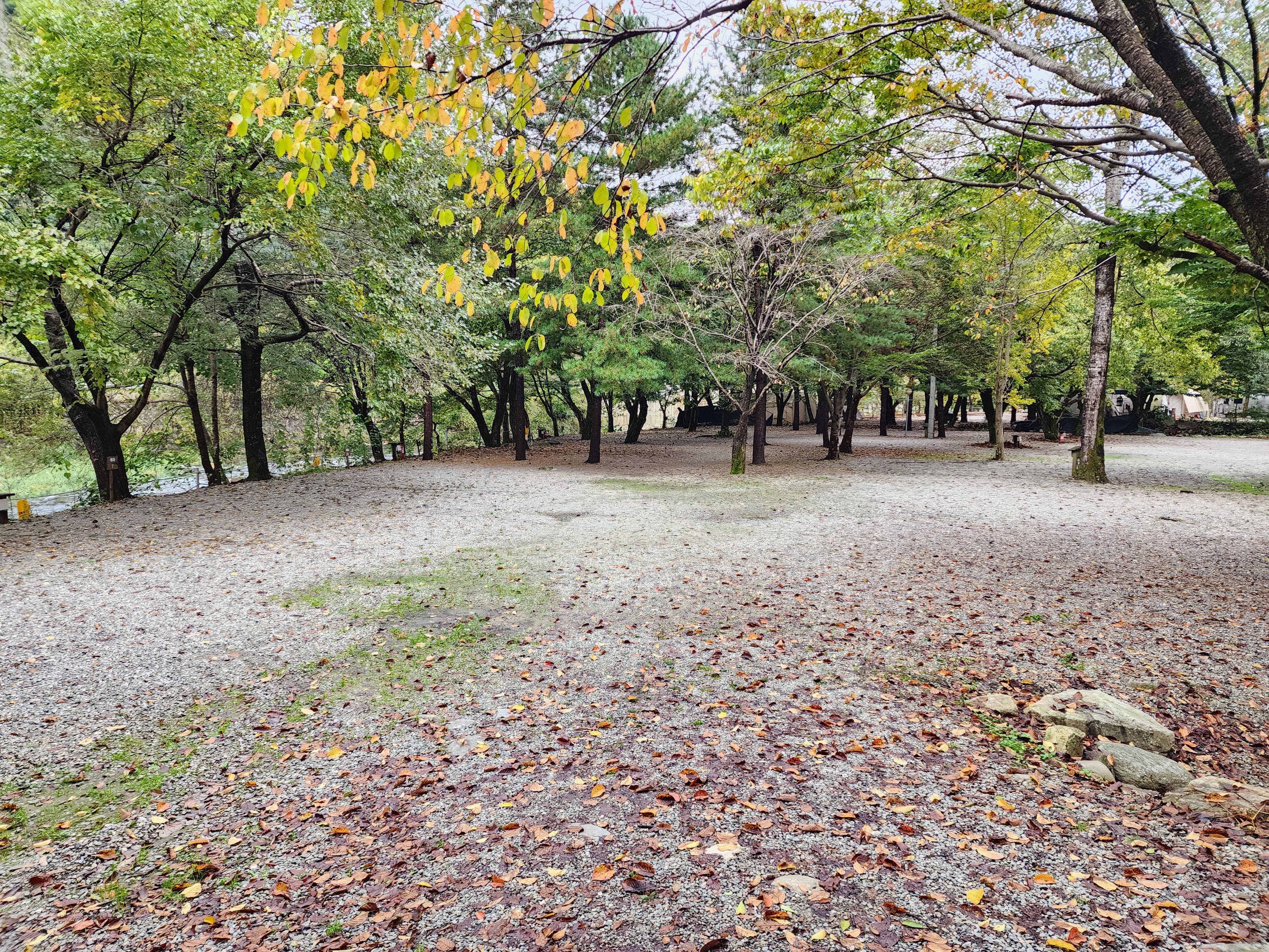 유명산밸리 캠핑장 사진 13