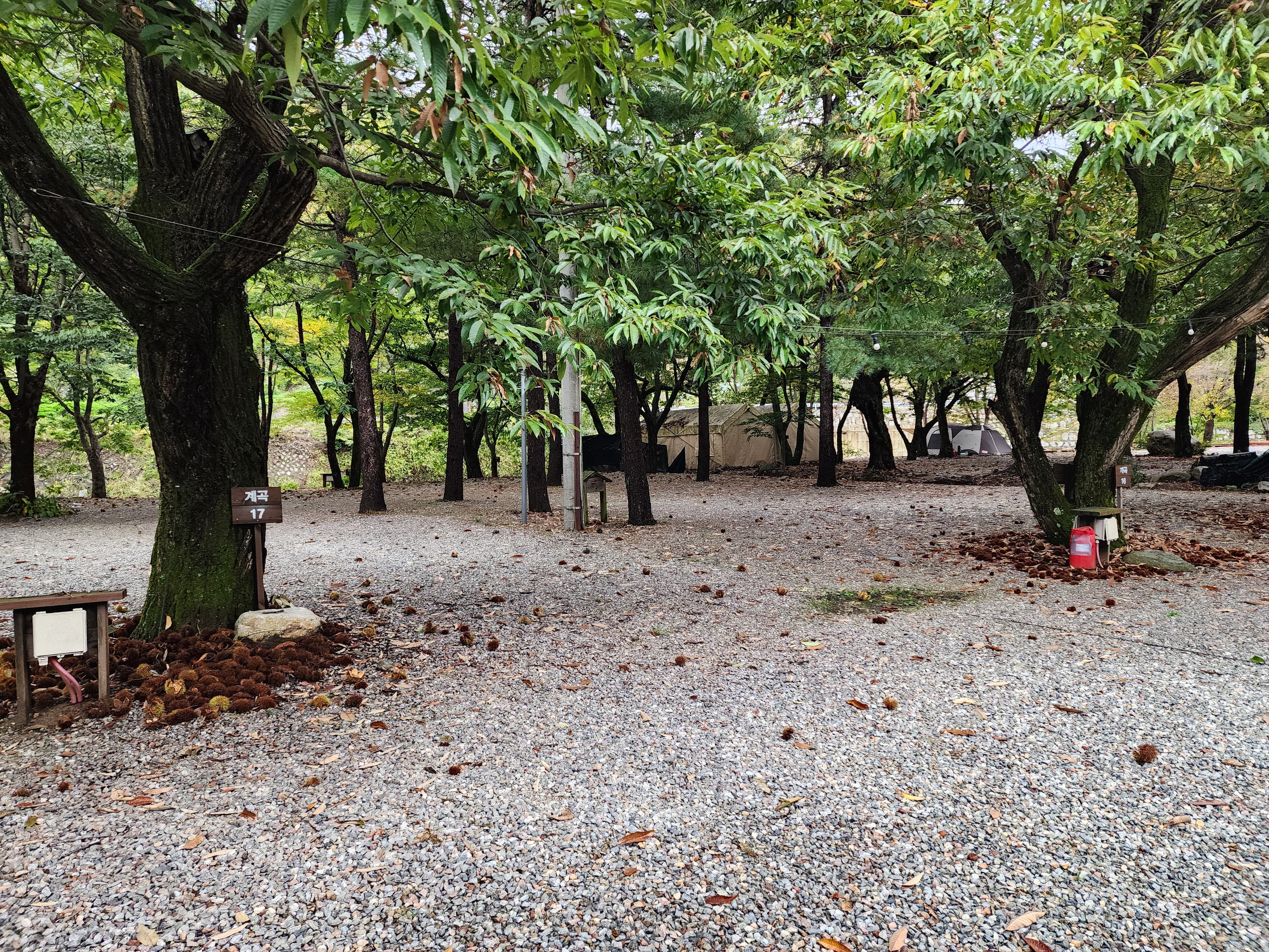 유명산밸리 캠핑장 사진 19