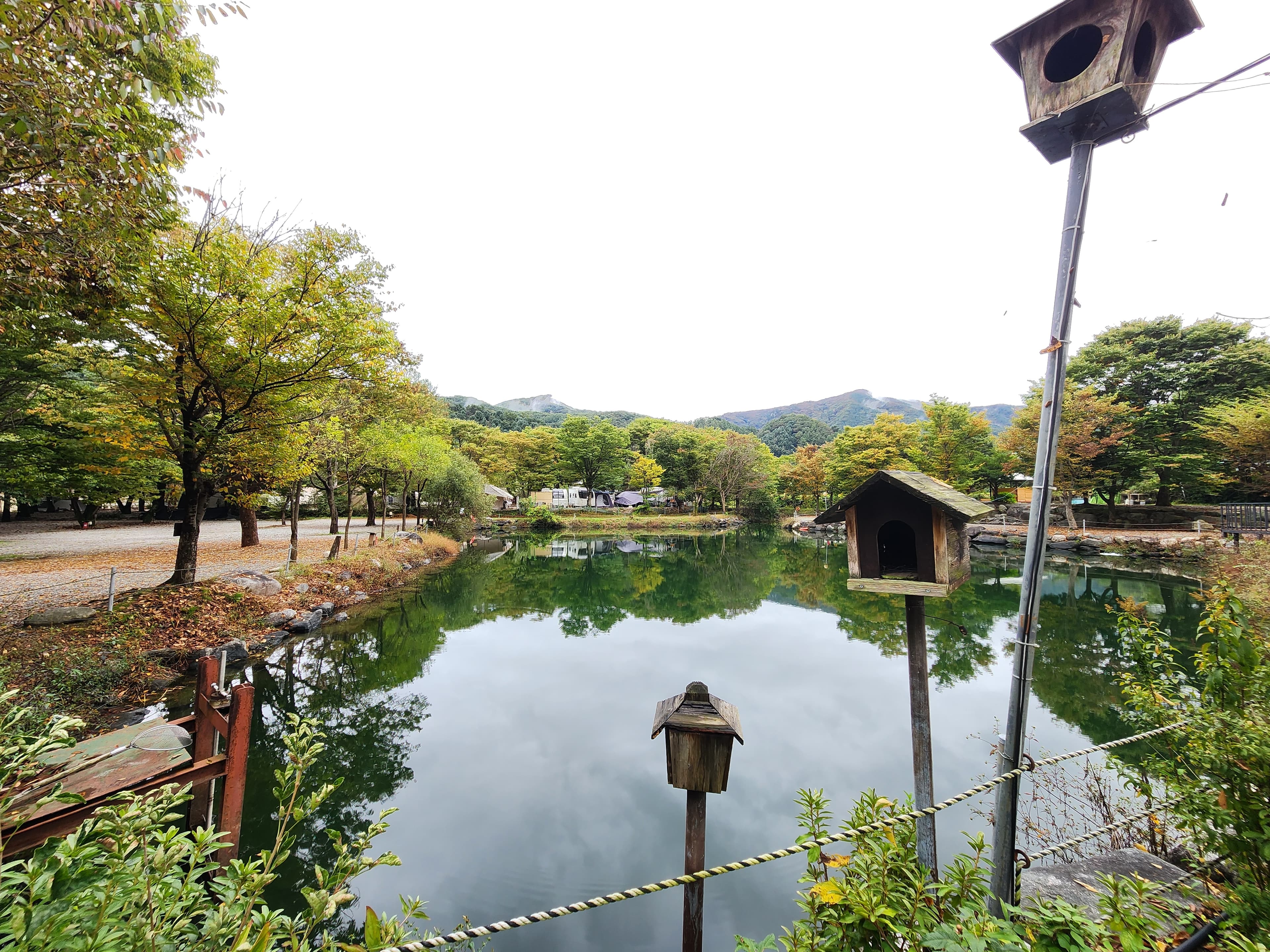유명산밸리 캠핑장 사진 11
