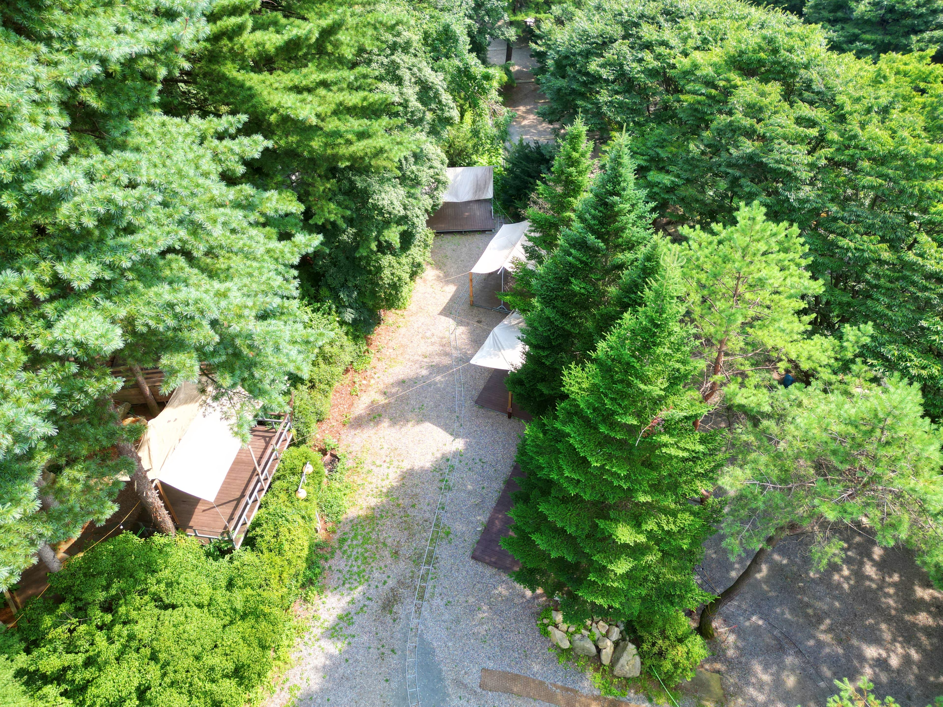 유명산 258 사진 3