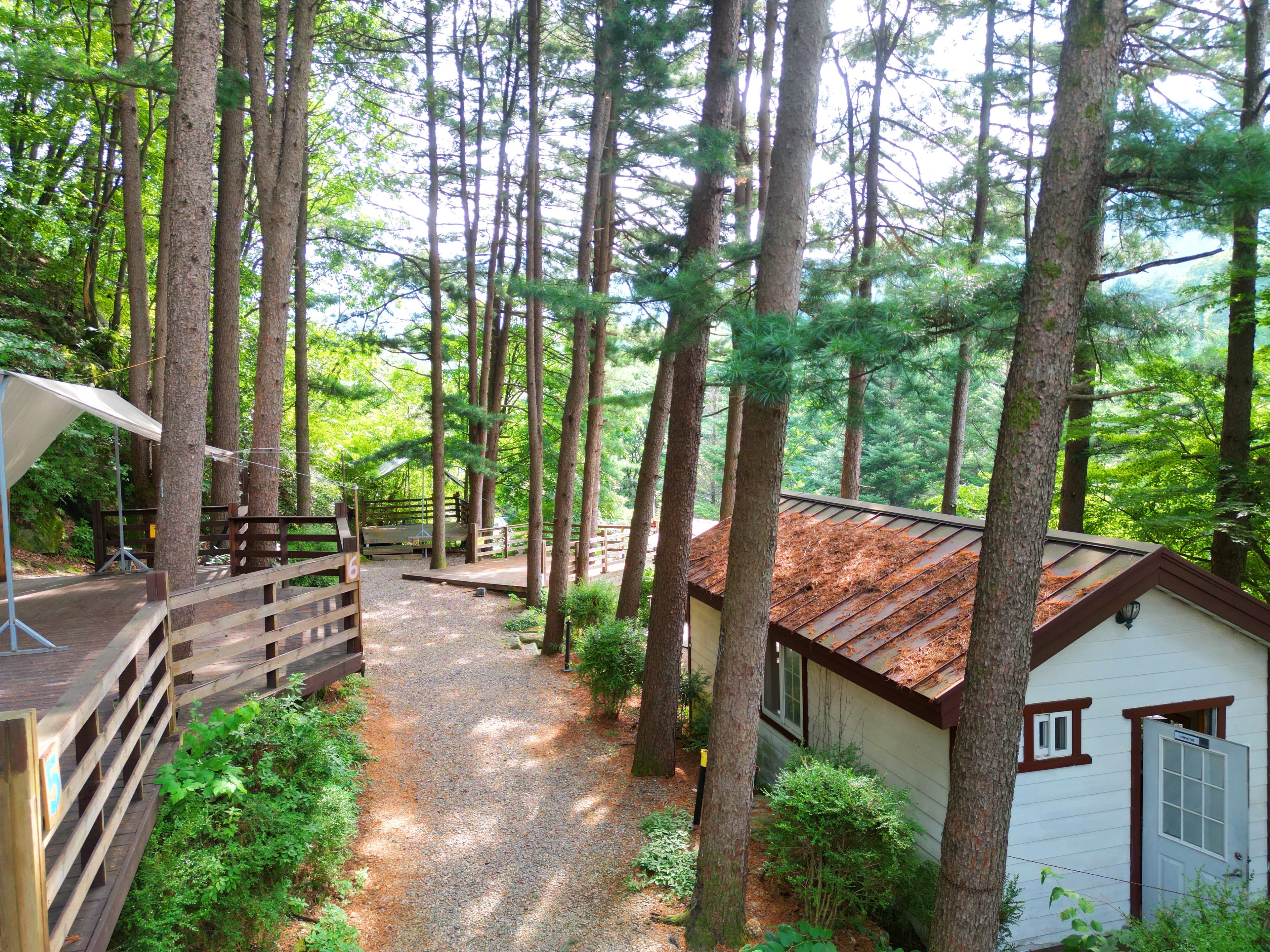 유명산 258 사진 9