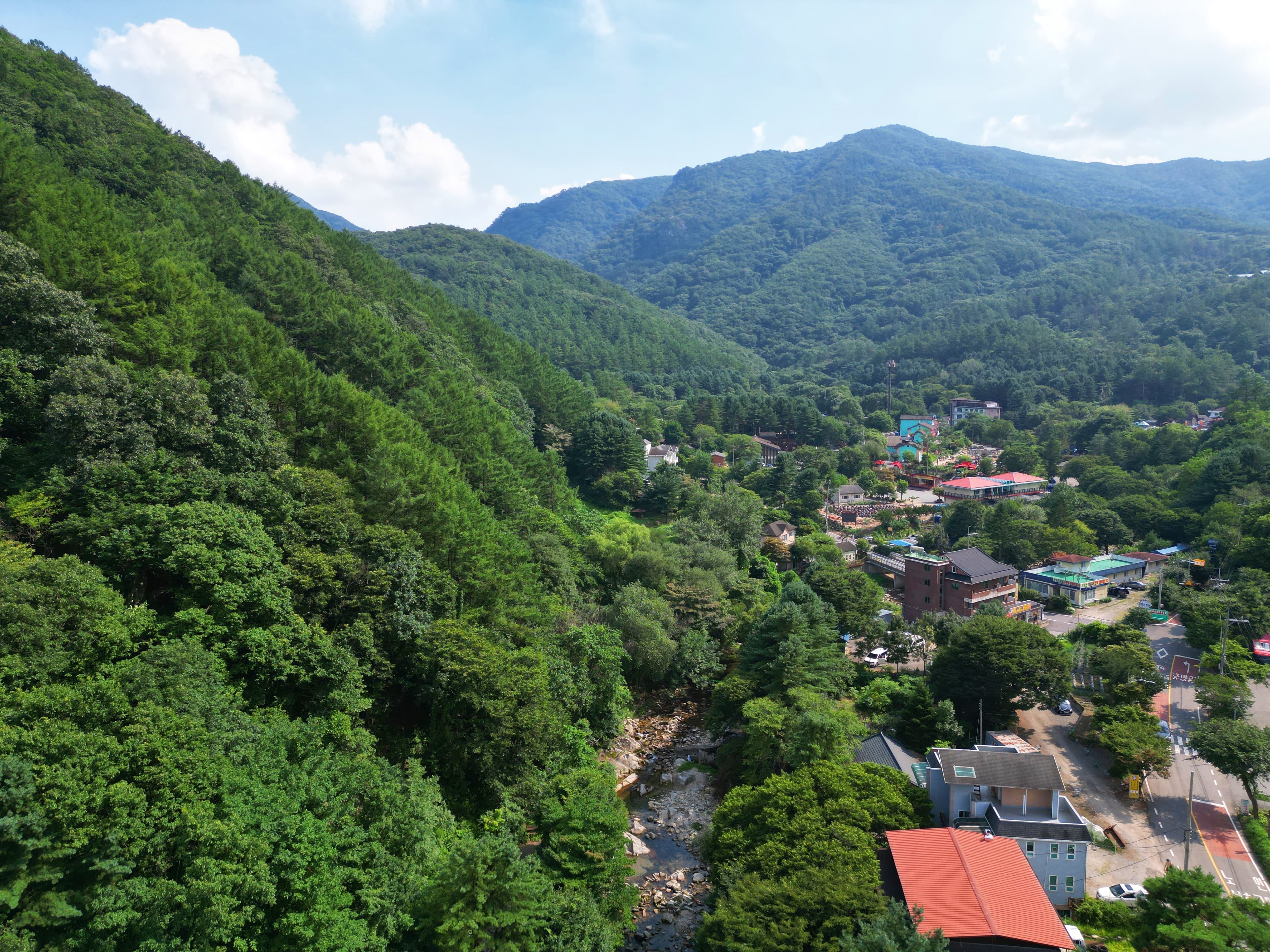 유명산 258 사진 2