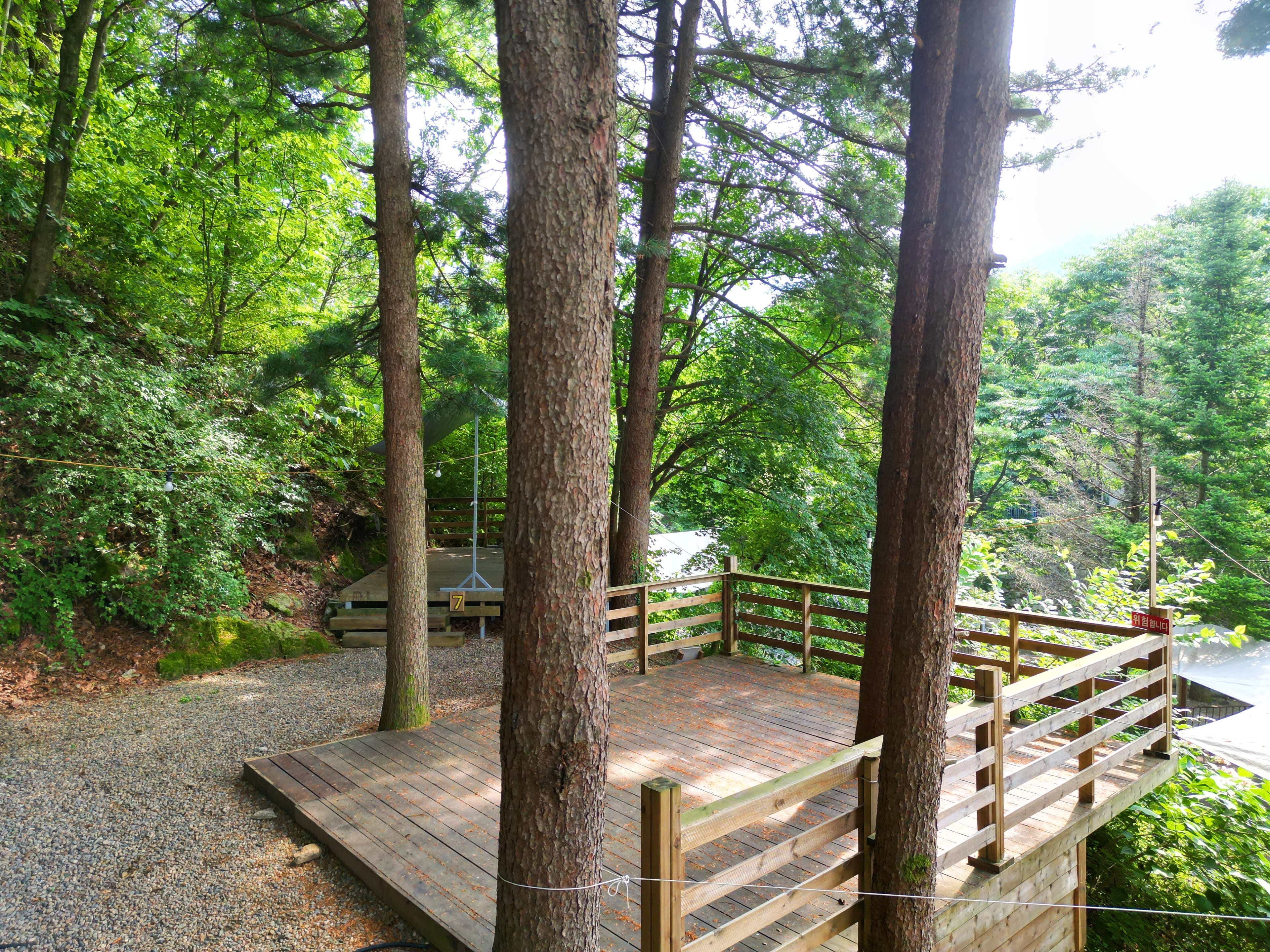 유명산 258 사진 8