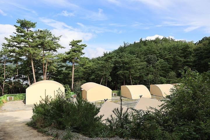 현대야영장 대표 사진
