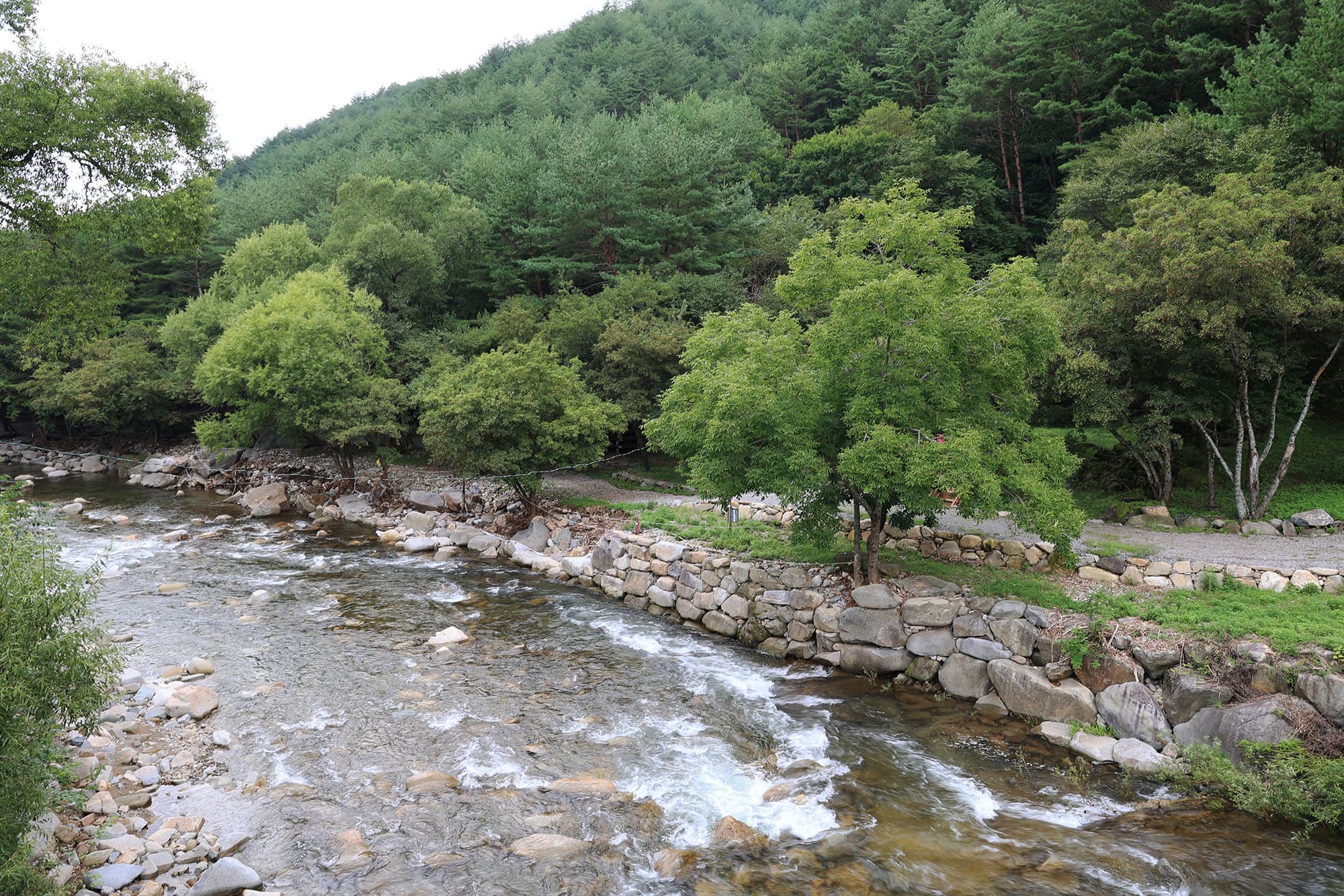 상동 장산 야영장 사진 19