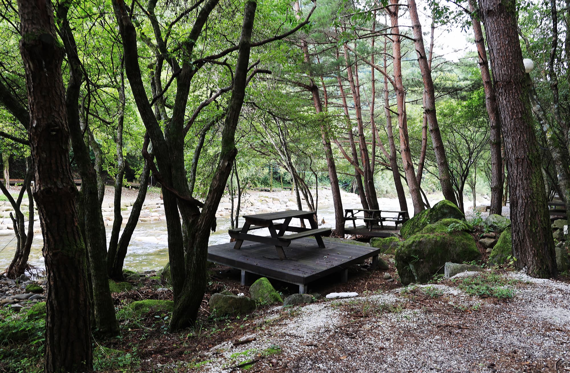 상동 장산 야영장 사진 13