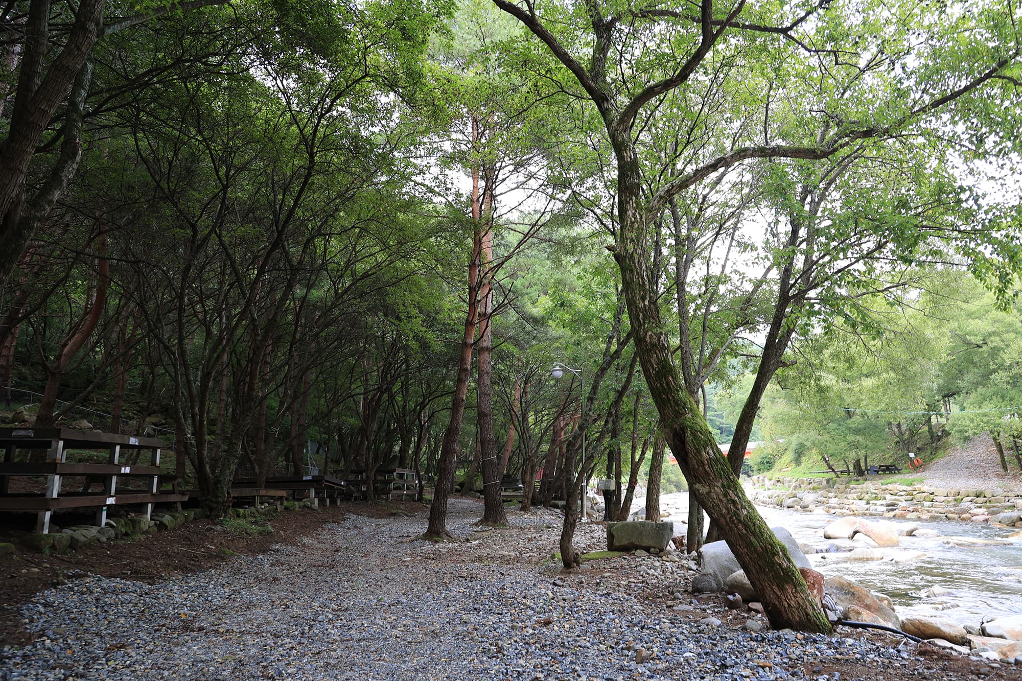 상동 장산 야영장 사진 9