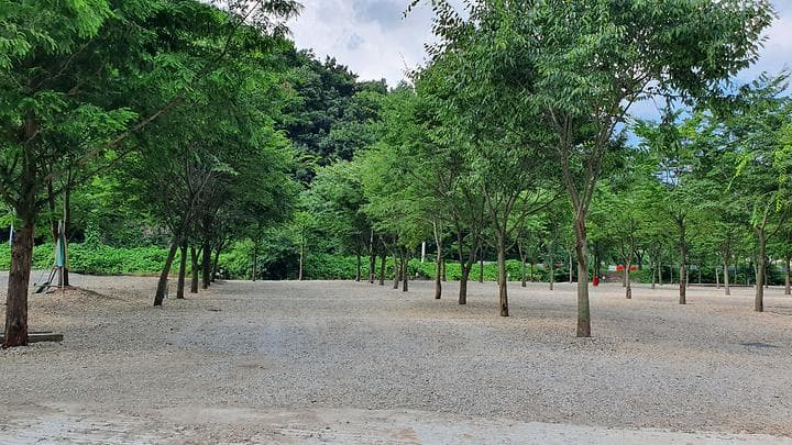 금산 자연 오토캠핑장 대표 사진