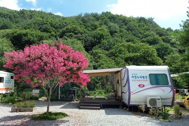 소백산자연누리야영장 대표 사진