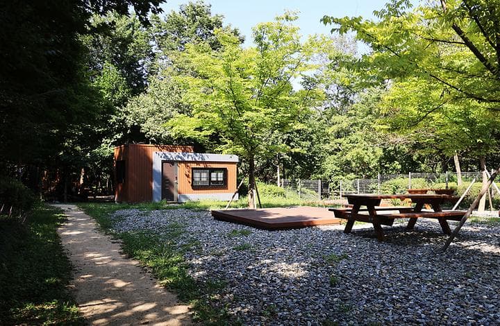 관악산 계곡 캠핑장 대표 사진