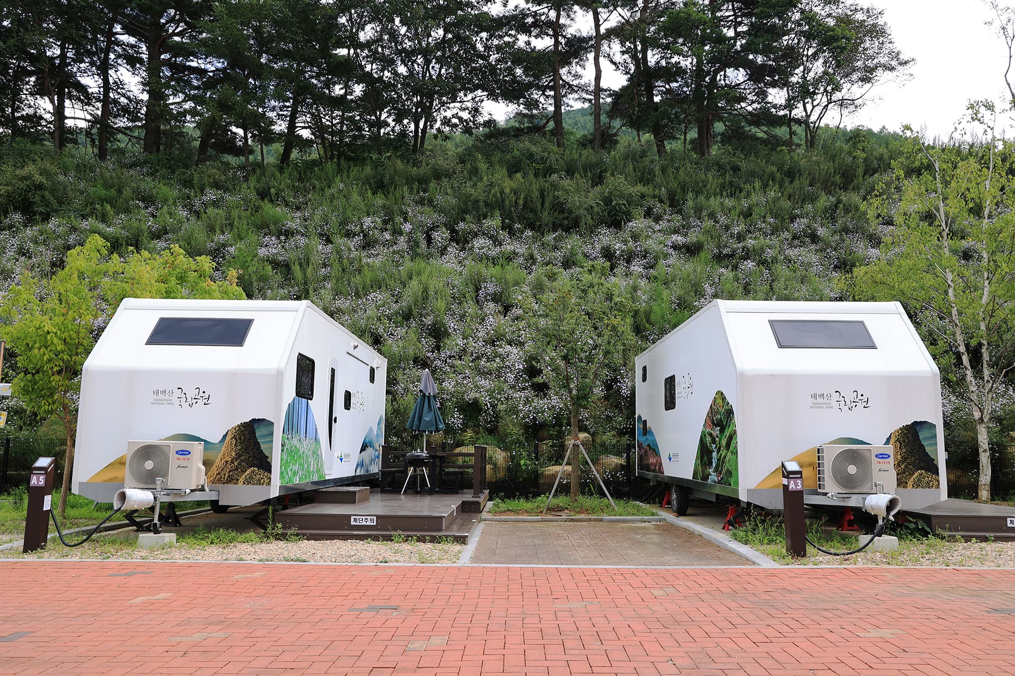 태백산국립공원 소도야영장 사진 11