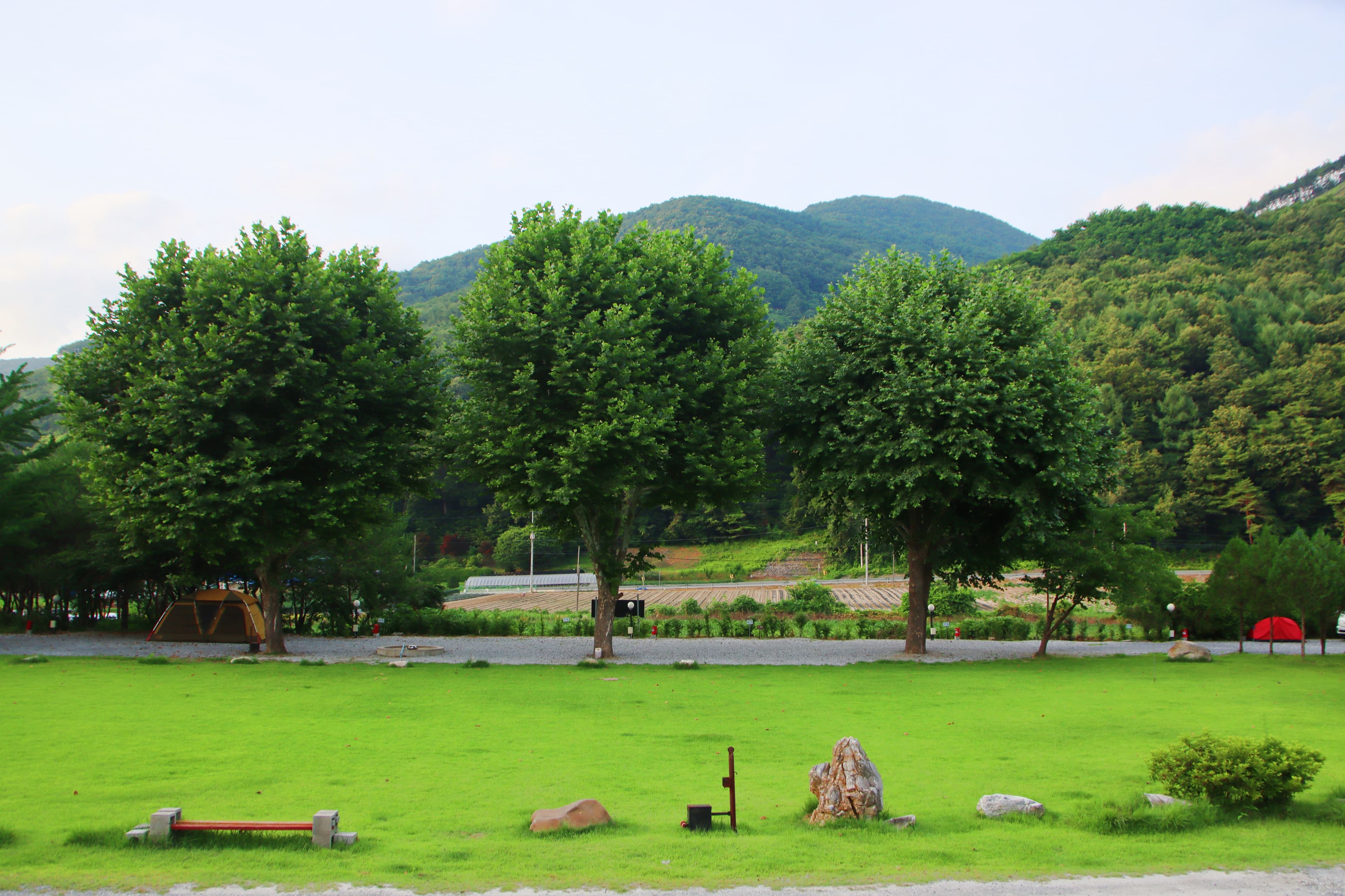 오손도손캠핑장 사진 13