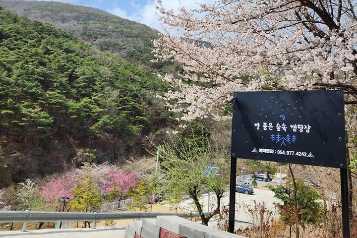 별품은 숲속 캠핑장 대표 사진