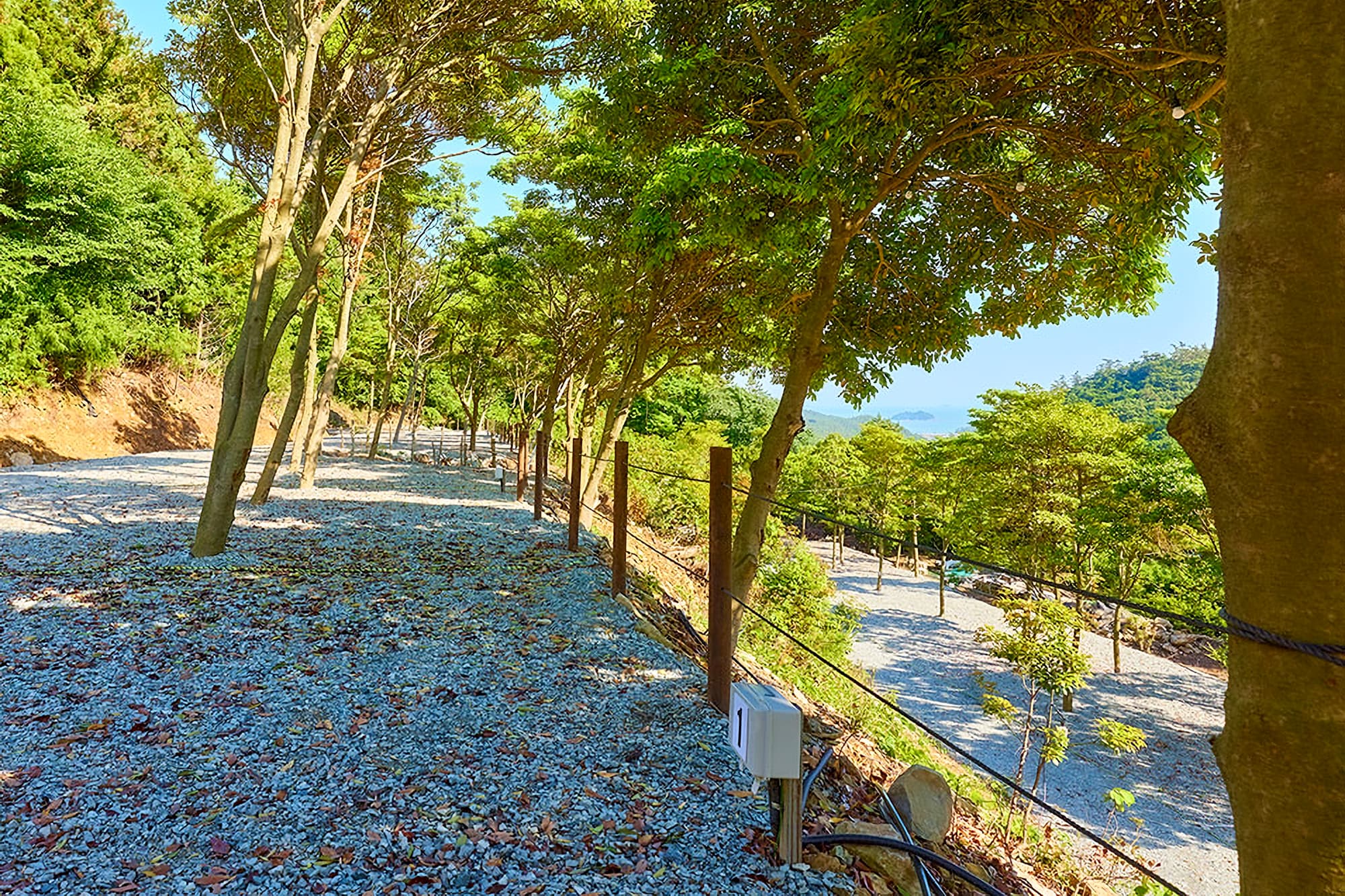 진도 카멜리아 힐즈 오토캠핑장 사진 9