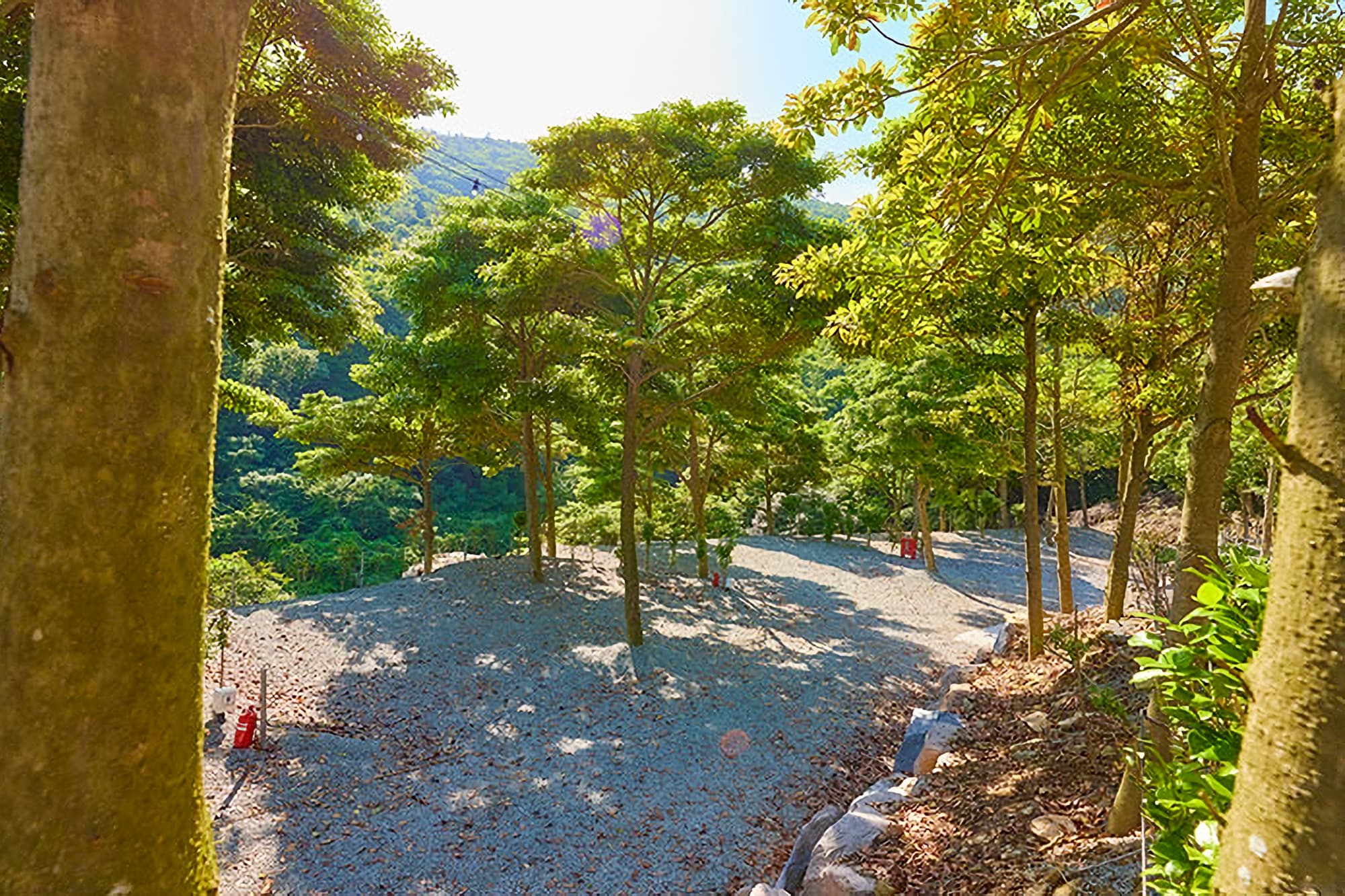 진도 카멜리아 힐즈 오토캠핑장 사진 3