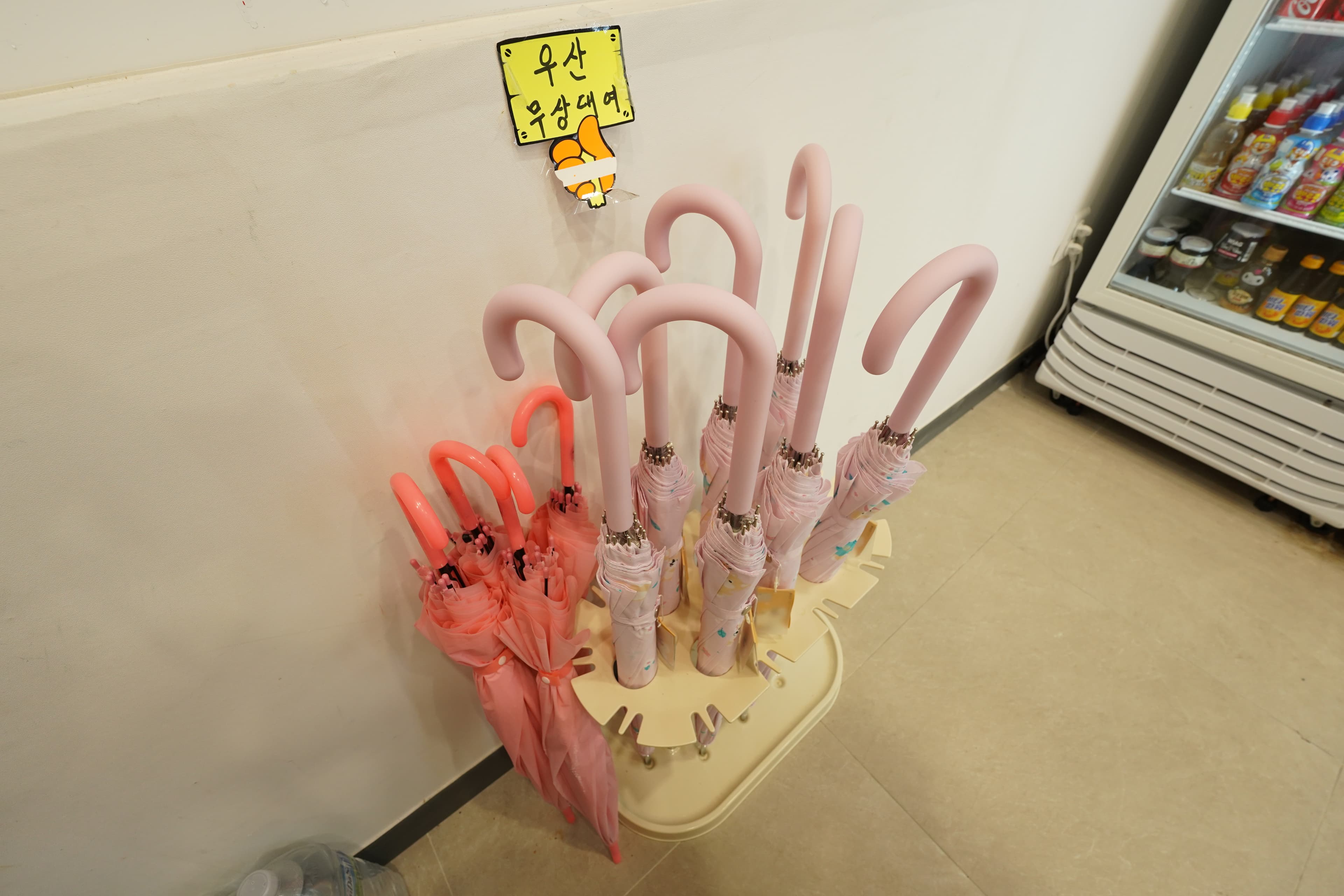 별밤캠프 사진 44