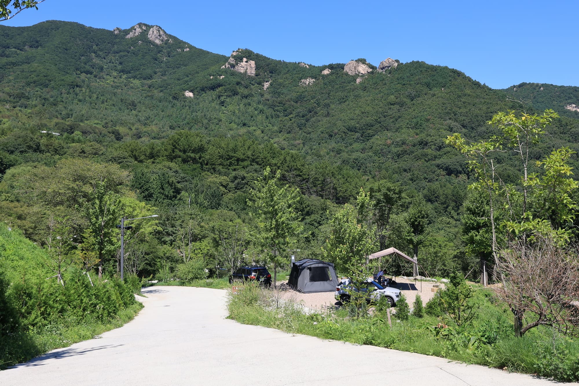 황매산 숲속야영장 사진 14