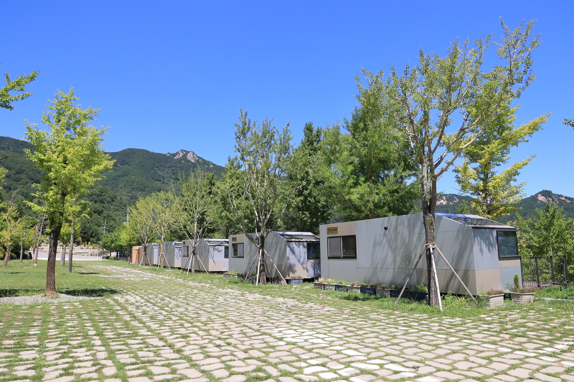 황매산 숲속야영장 사진 7
