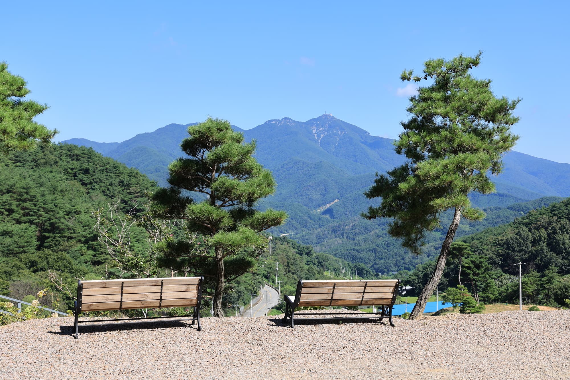 오도산 관광농원 사진 5