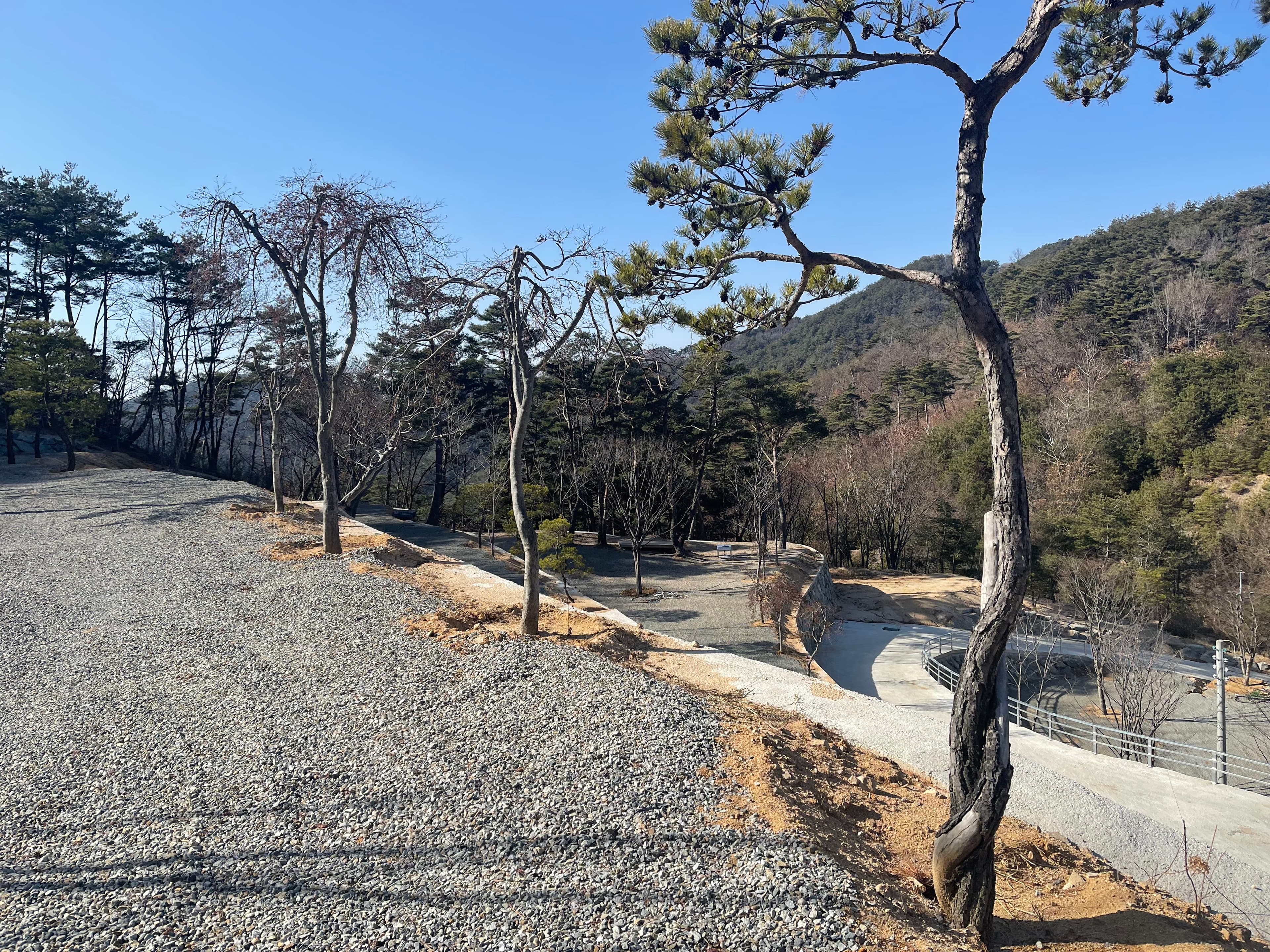오도산 관광농원 사진 25