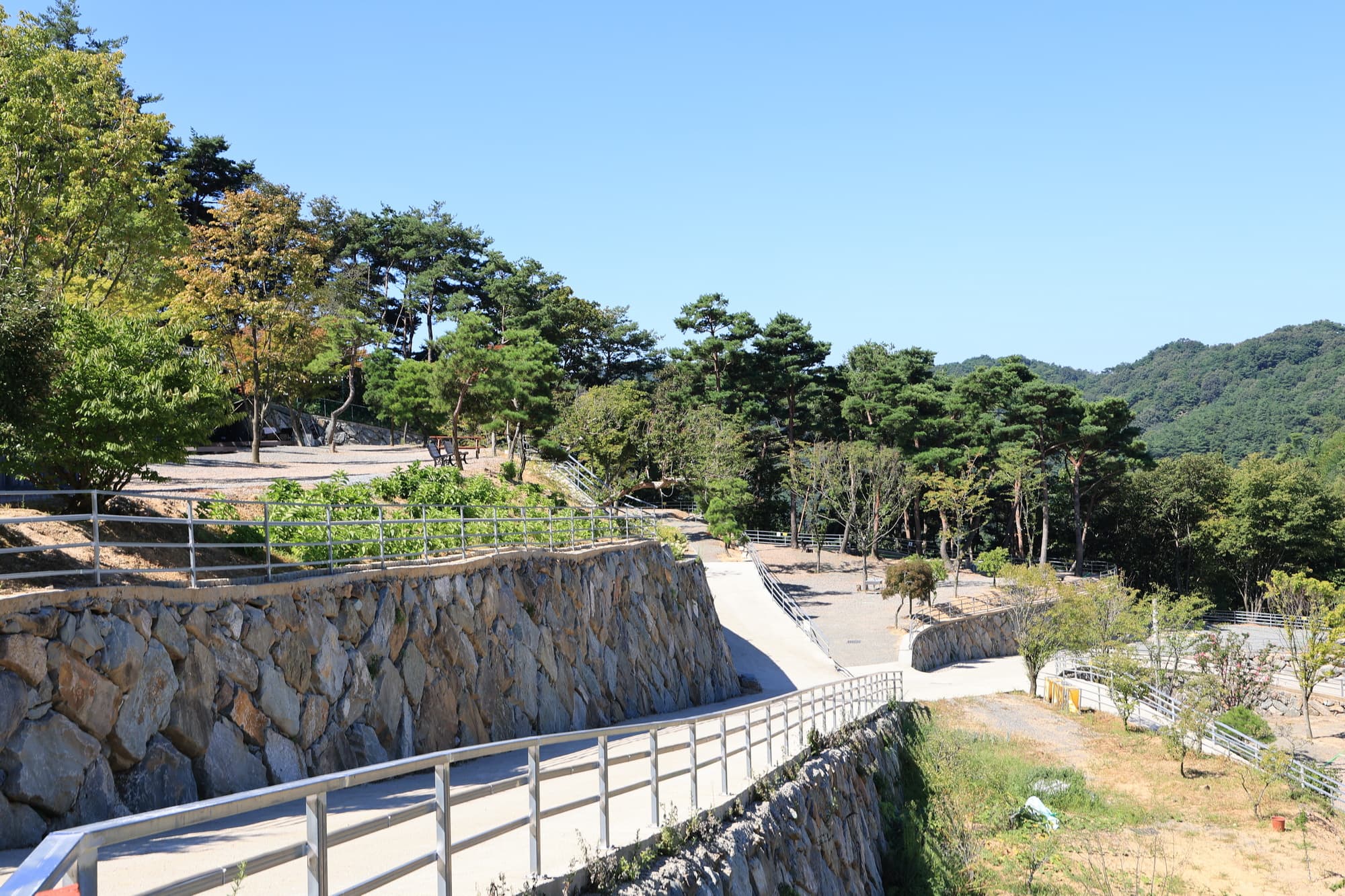 오도산 관광농원 사진 10