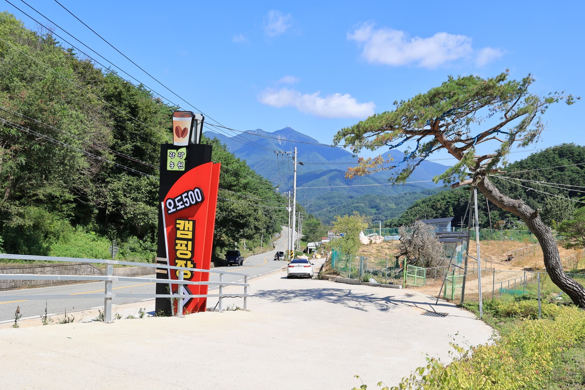 오도산 관광농원 사진 15