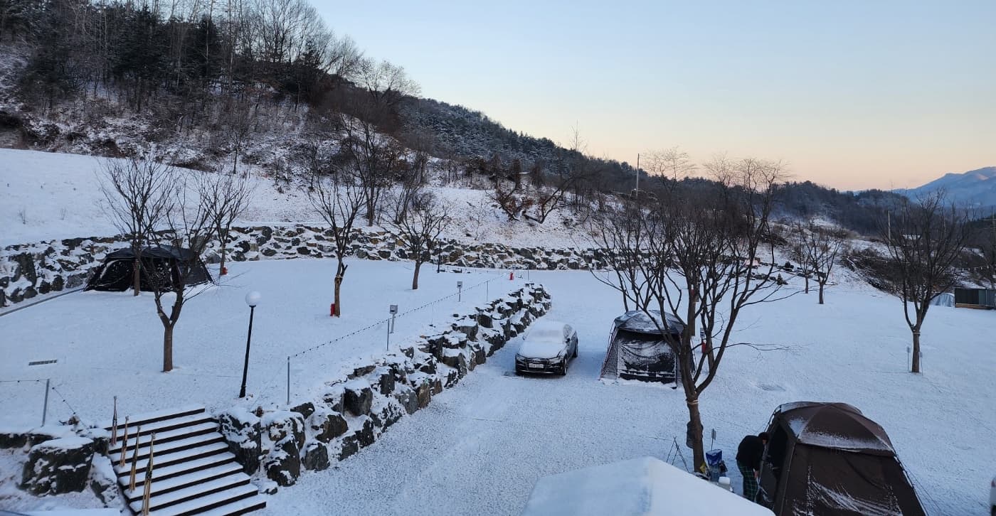 DS Camp 캠핑장 사진 3