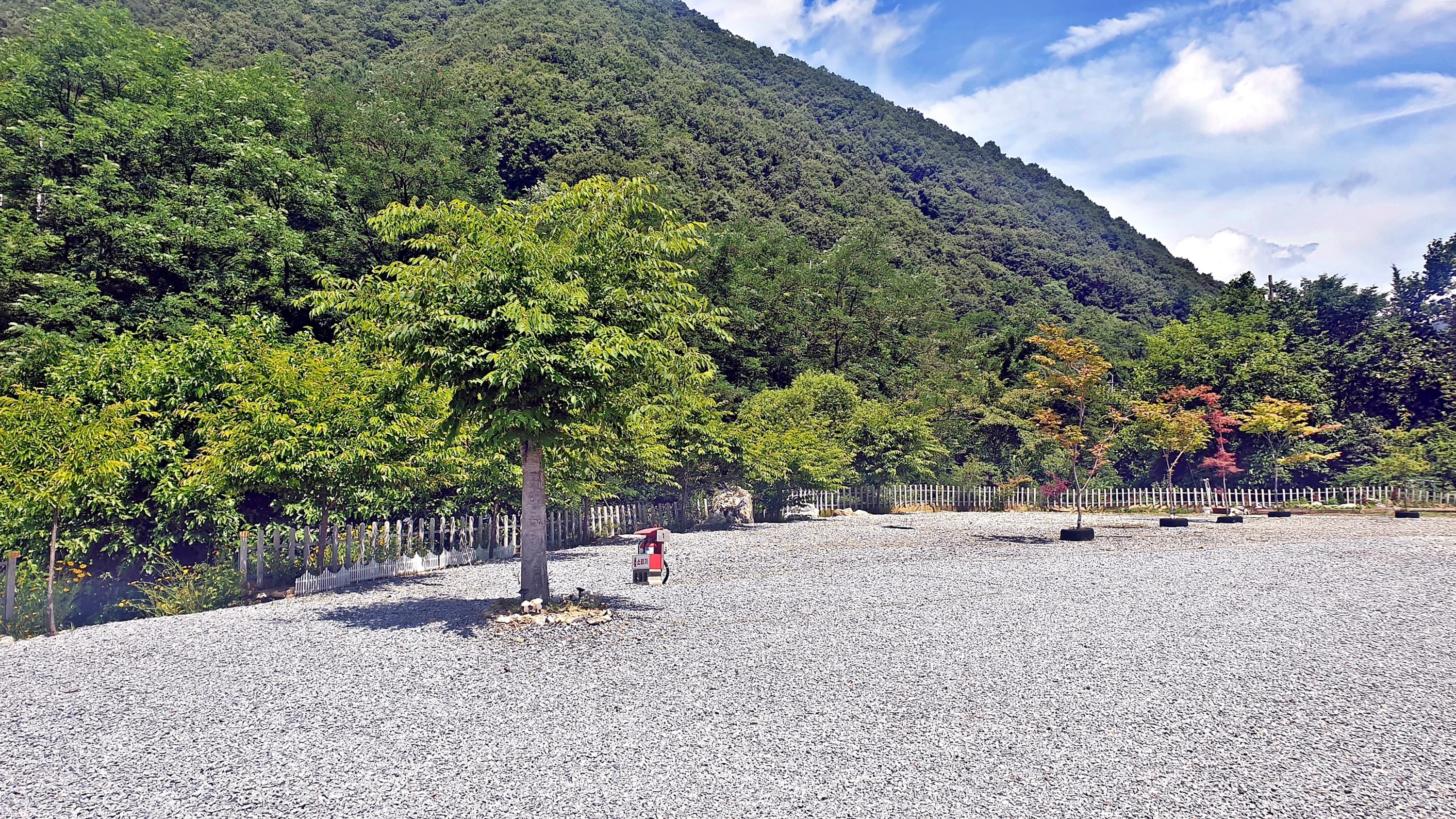 SOL Camping 사진 13