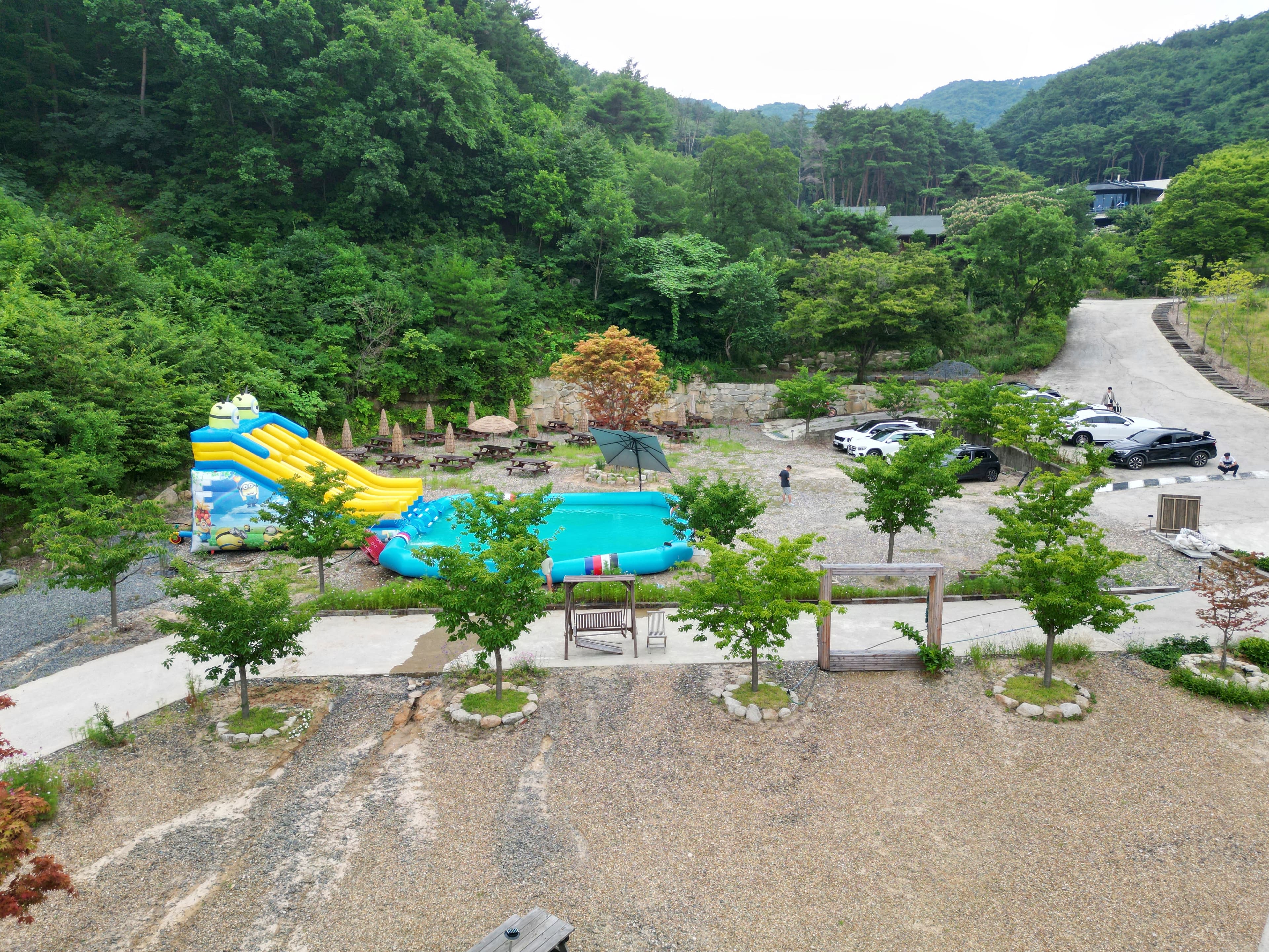 트리풀(treefull) 사진 6