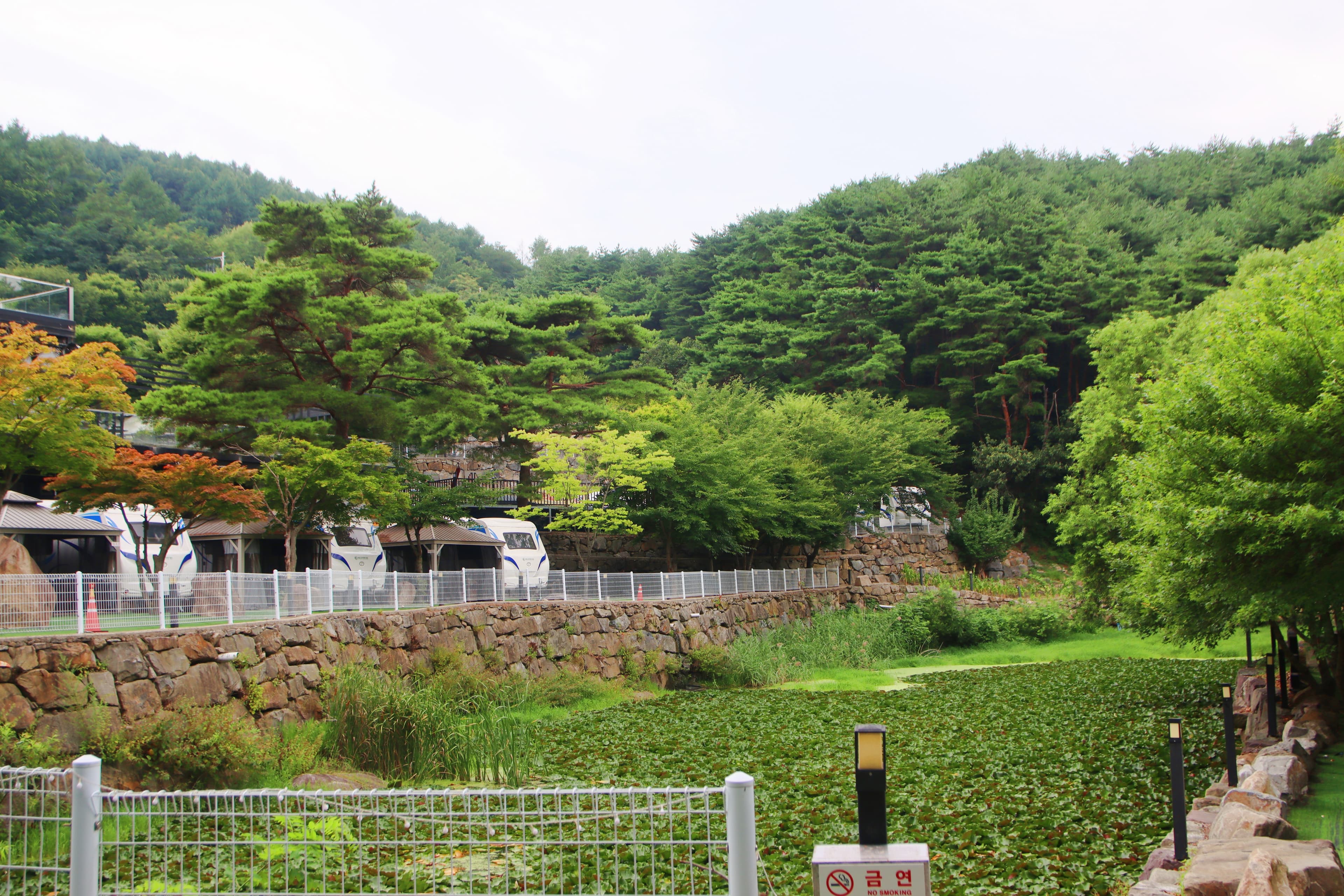 80포레스트카라반캠프 사진 11