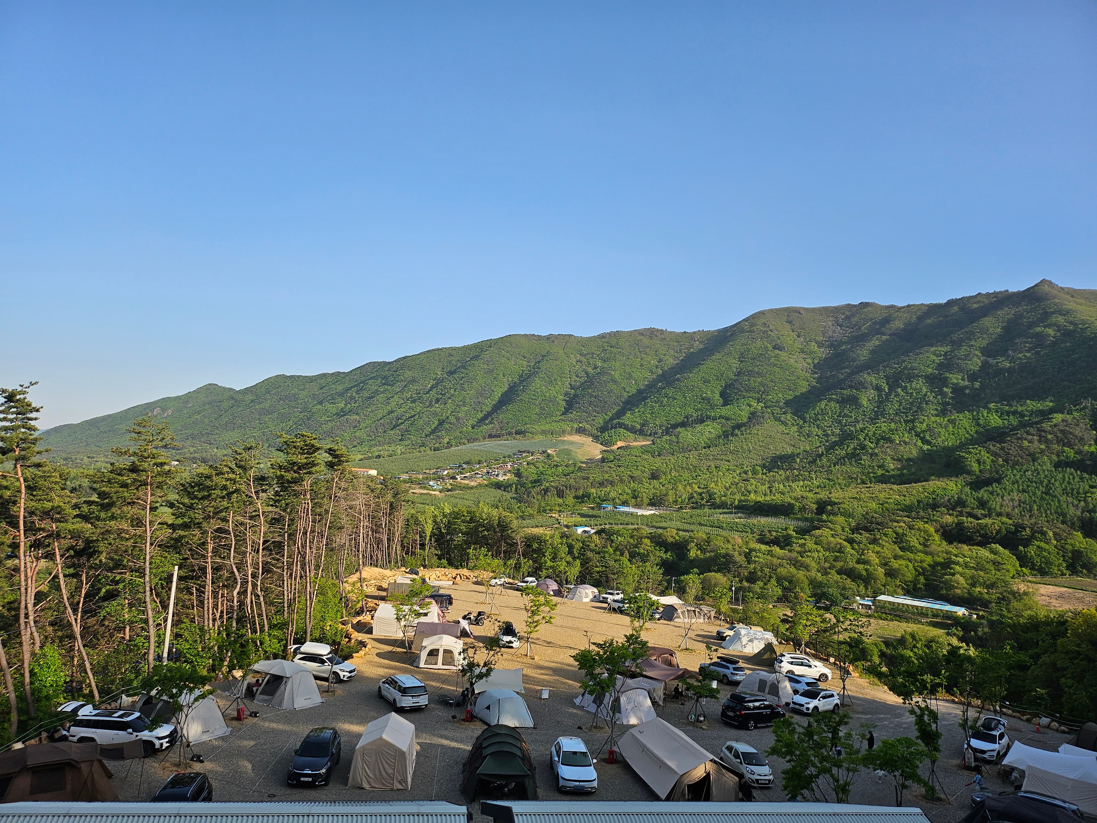 이유캠핑 사진 5