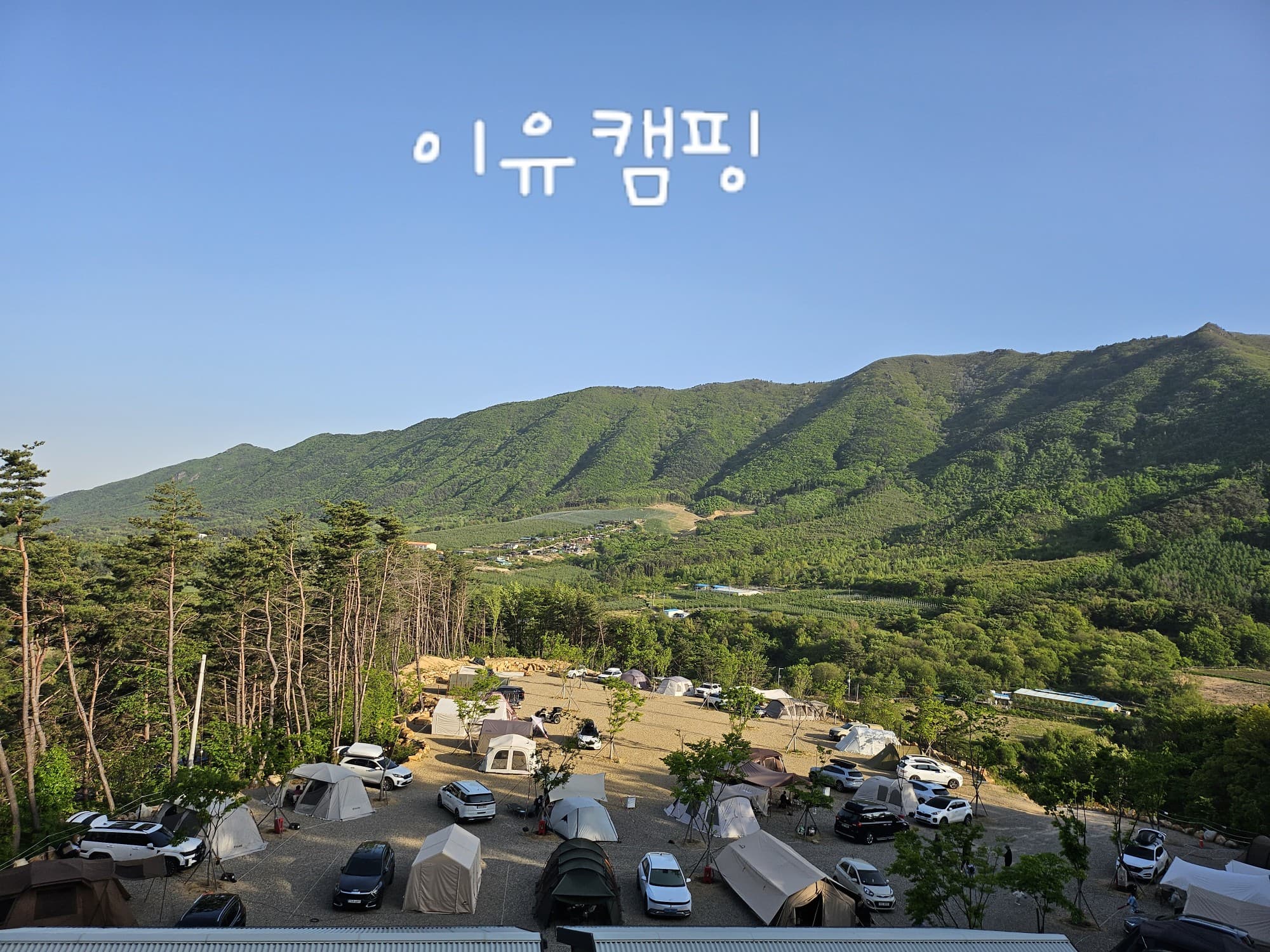 이유캠핑 사진 8