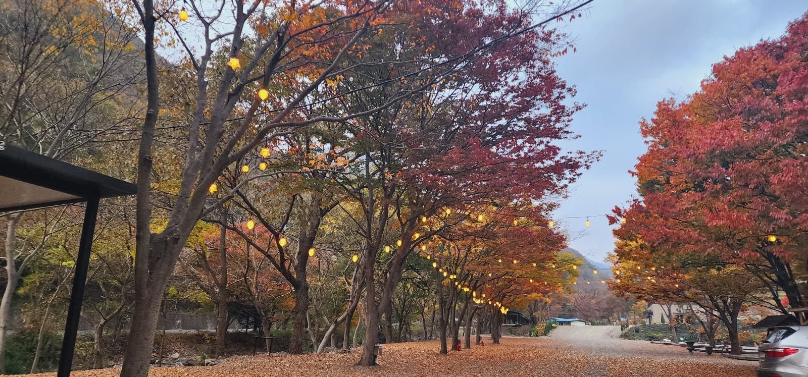 이안힐링랜드 사진 2