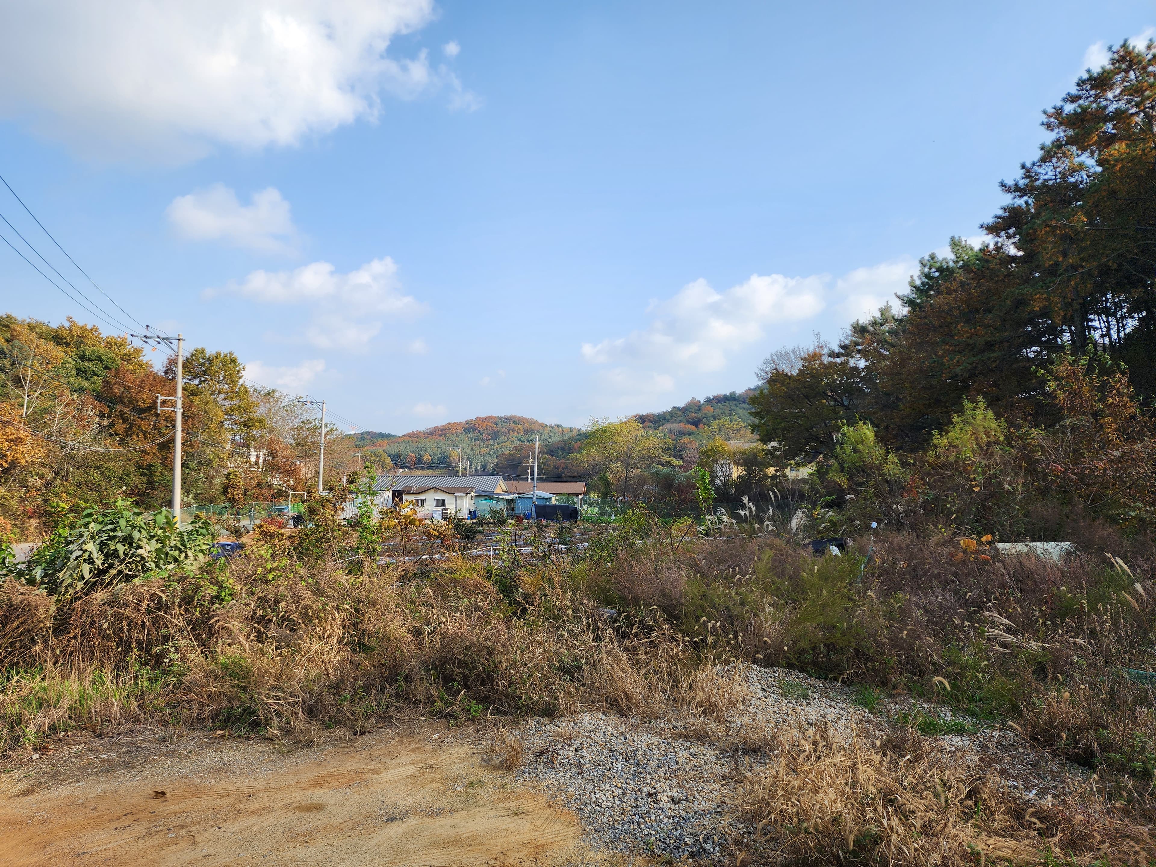 대부도(영흥도)산촌카라반 사진 33