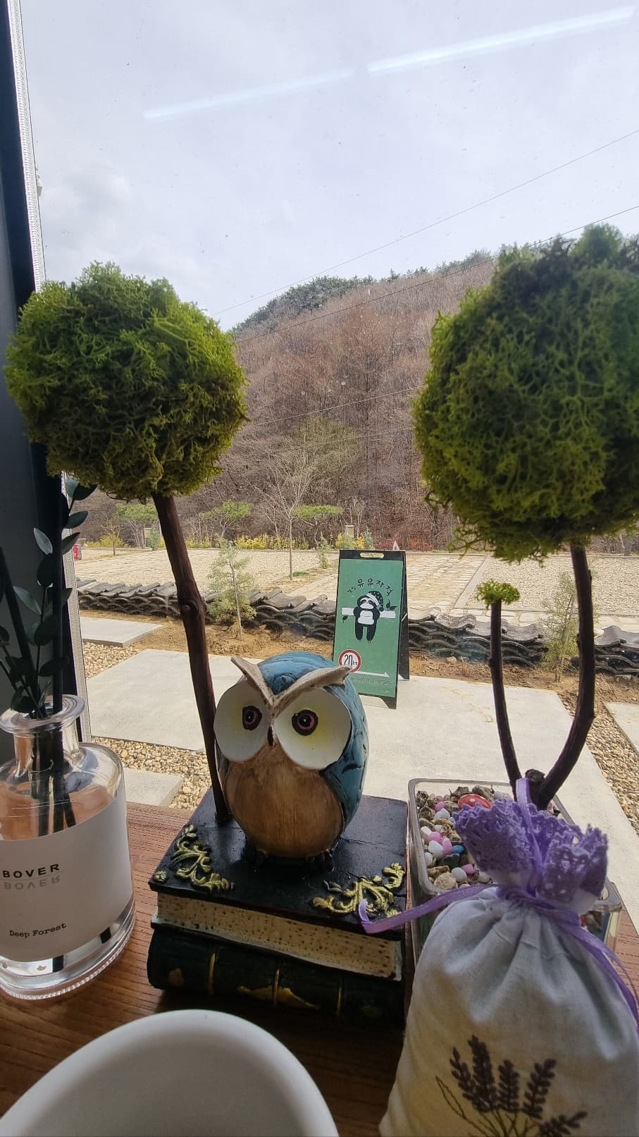 캠핑 유유자적 사진 13