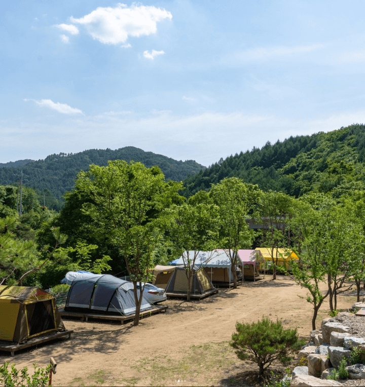 늘편한캠핑장(2) 대표 사진