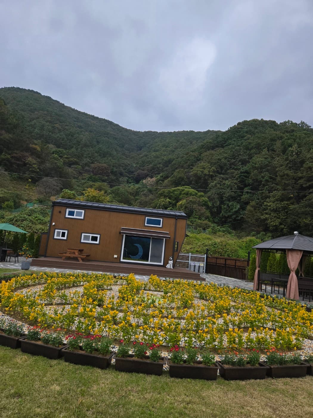 달빛소나타 사진 1