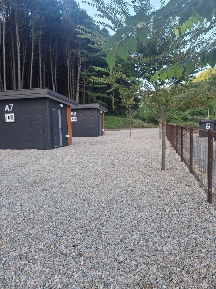 고슬로우 캠핑장 사진 6