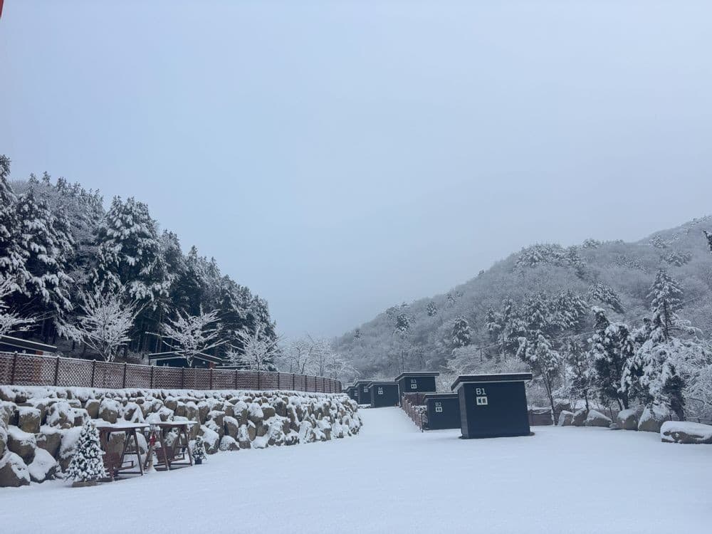 고슬로우 캠핑장 사진 14