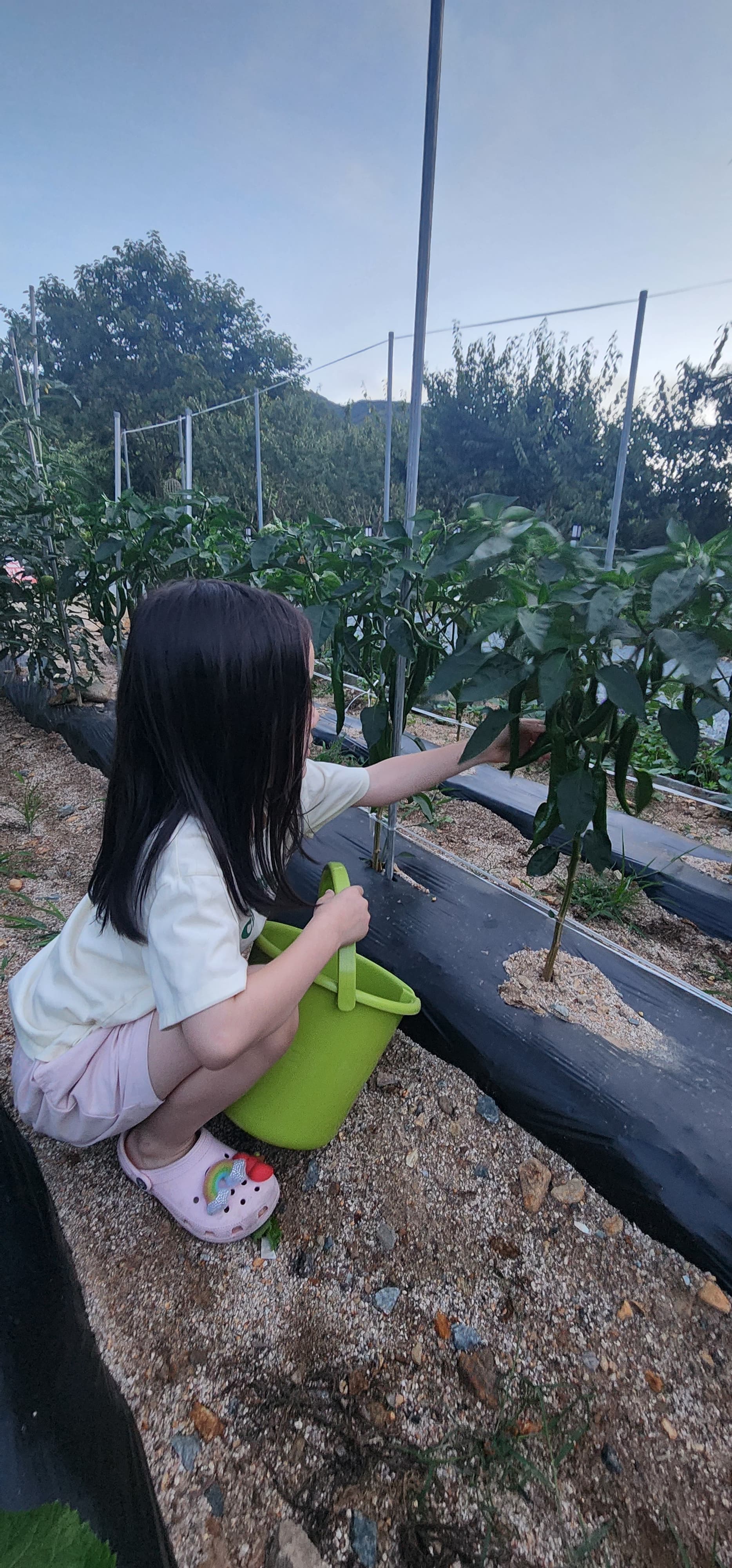 수안보 동그라미 캠핑장 사진 15