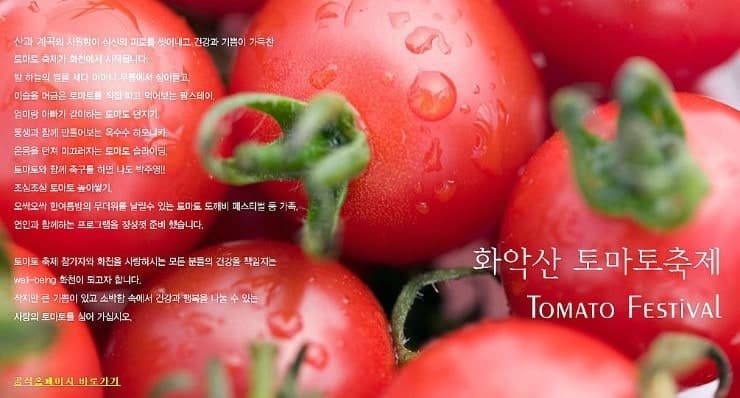화천마음이머무는곳 사진 19